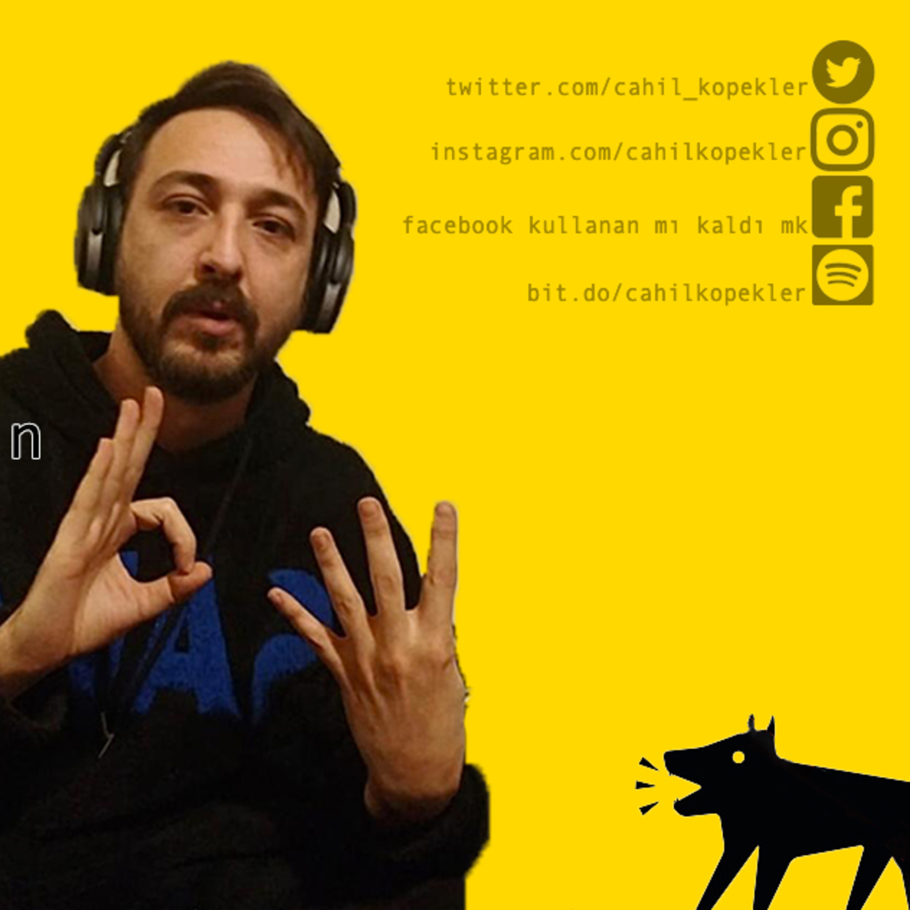 BAZA | CAHİL KÖPEKLER
