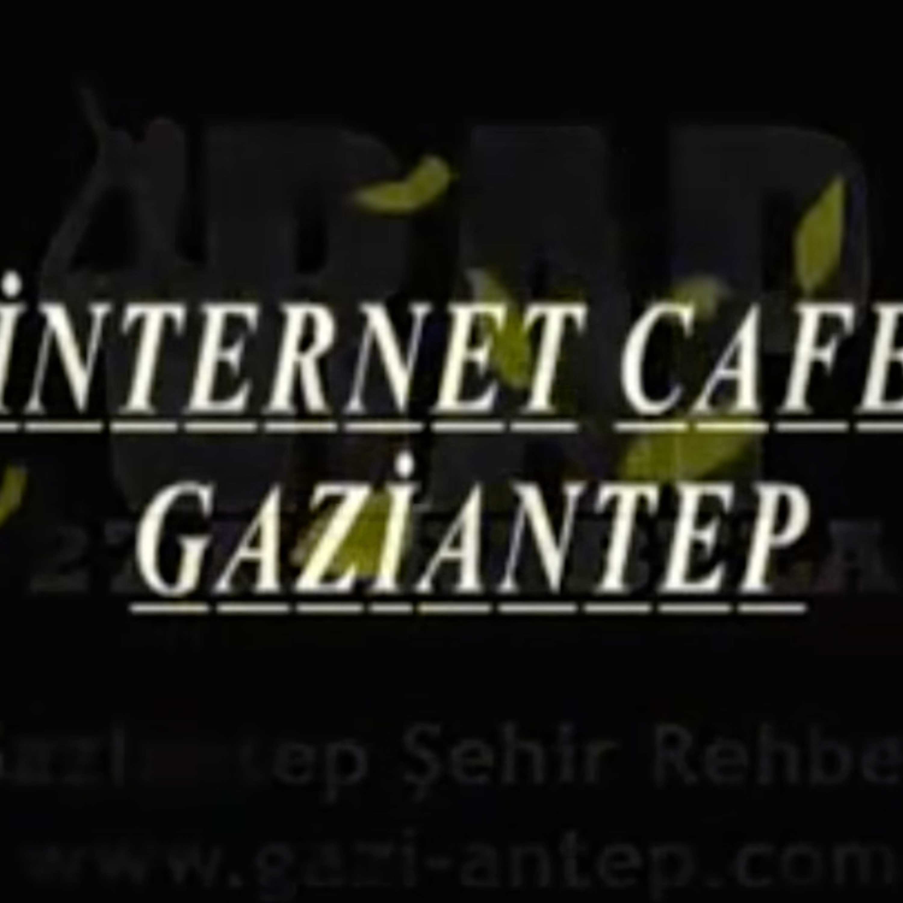 BAZA | CAHİL KÖPEKLER