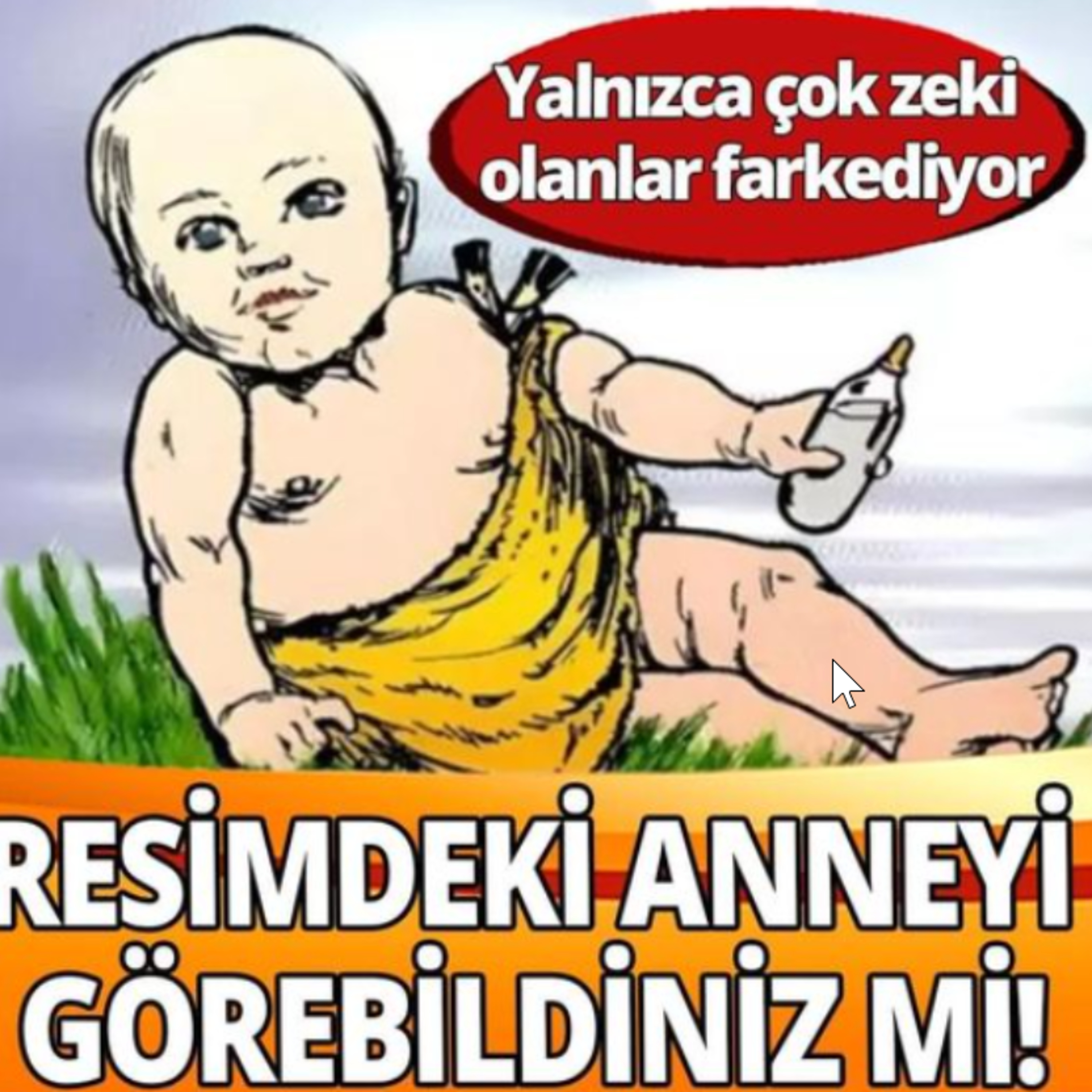 BAZA | CAHİL KÖPEKLER