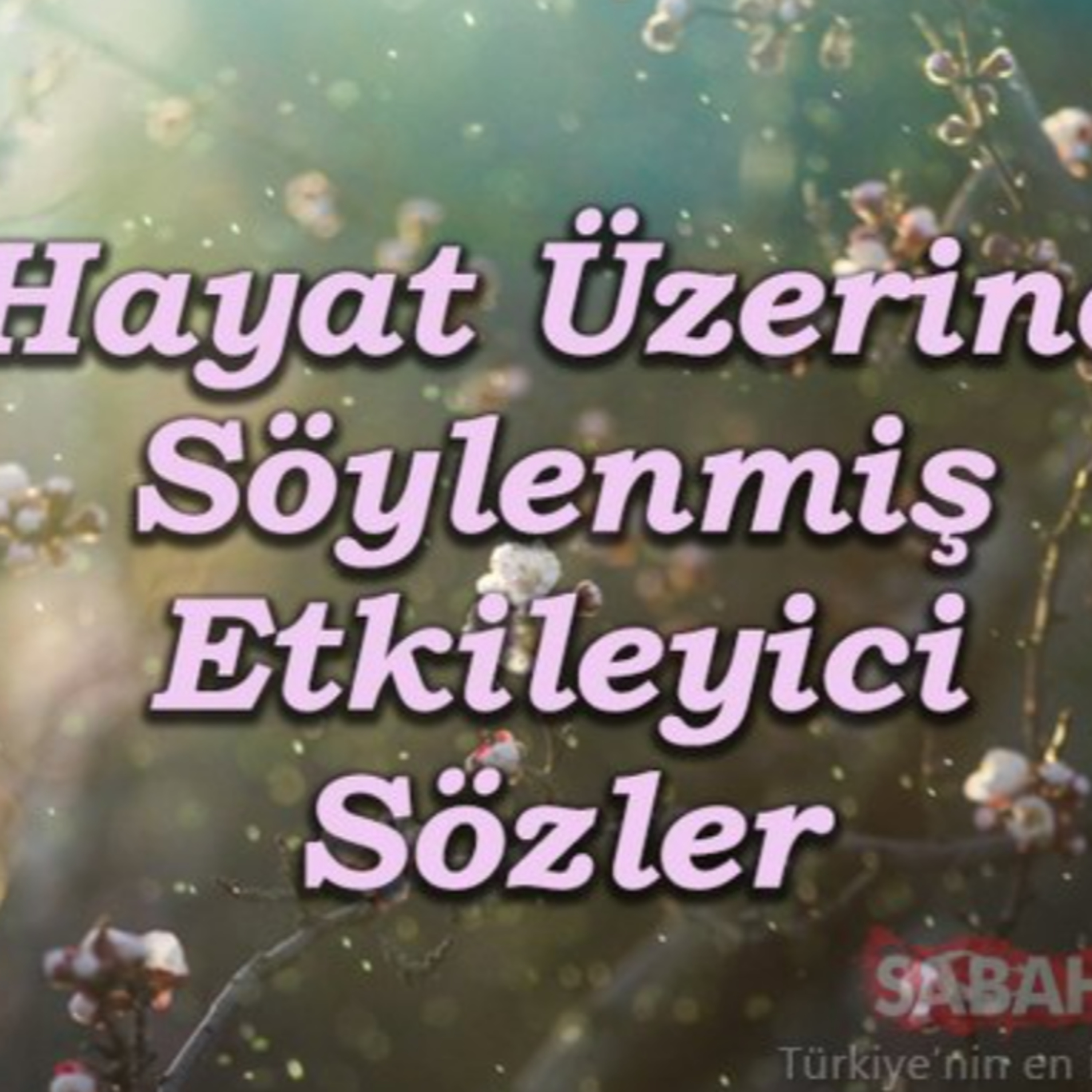 BAZA | CAHİL KÖPEKLER