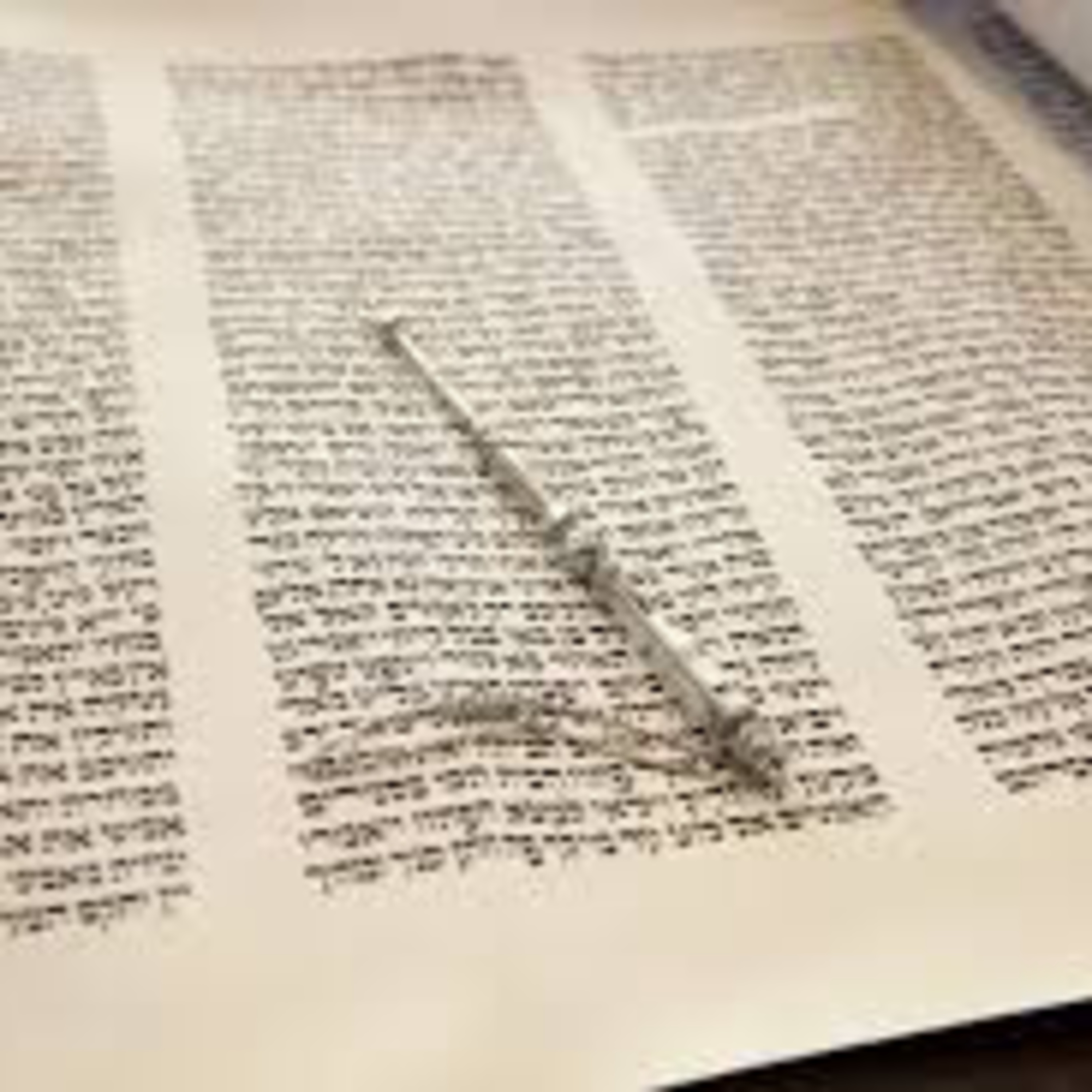 Rabbi Shlomo Agishtein\'s Shiurim