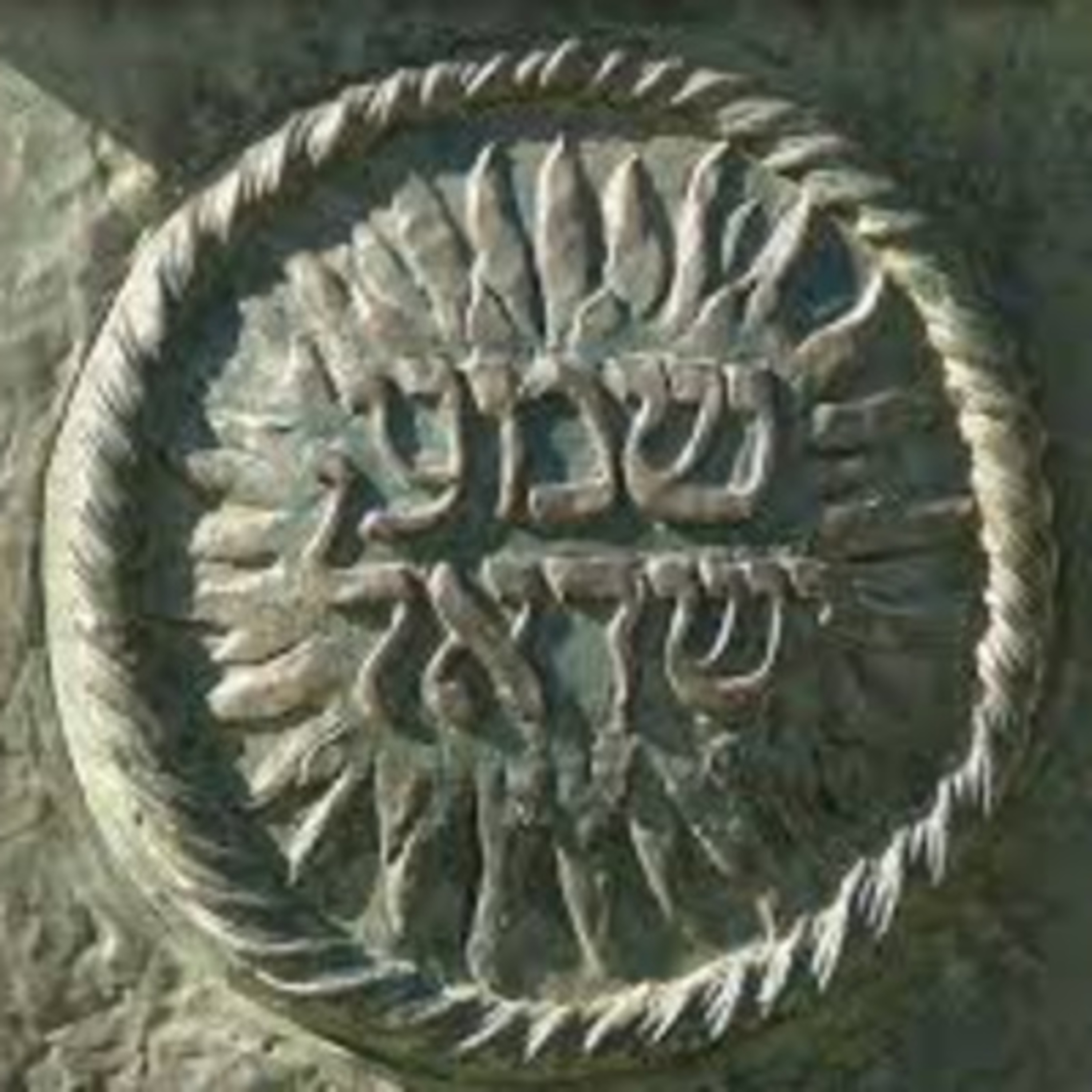 Rabbi Shlomo Agishtein\'s Shiurim