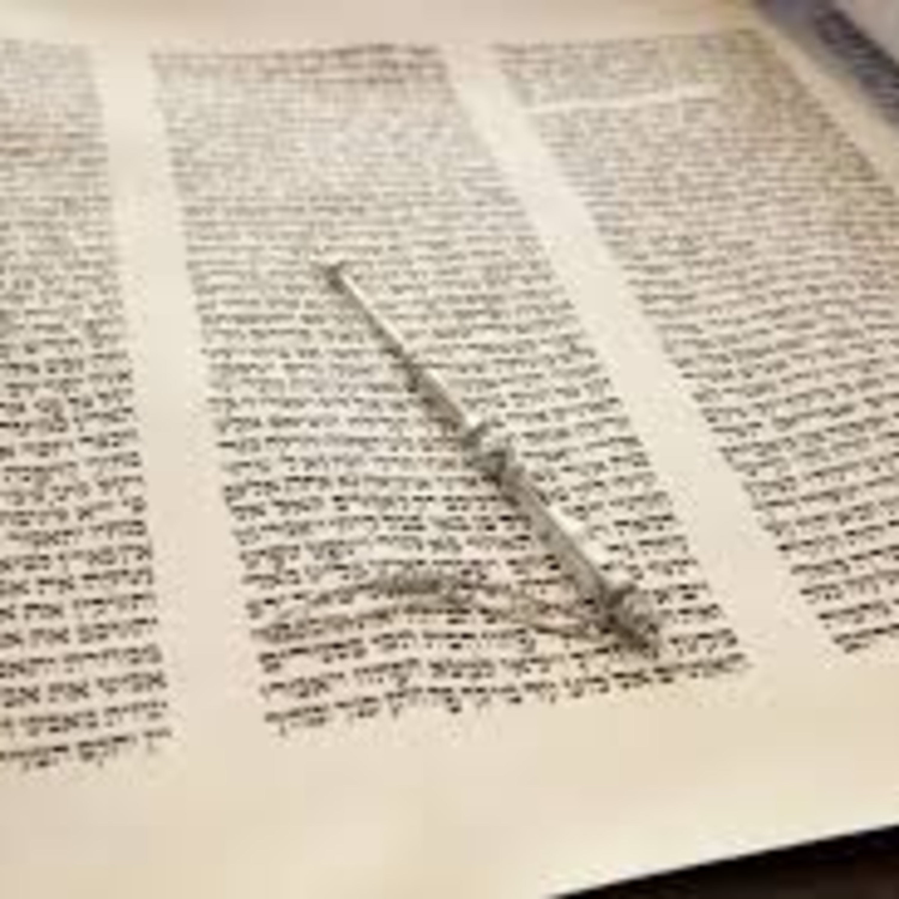 Rabbi Shlomo Agishtein\'s Shiurim