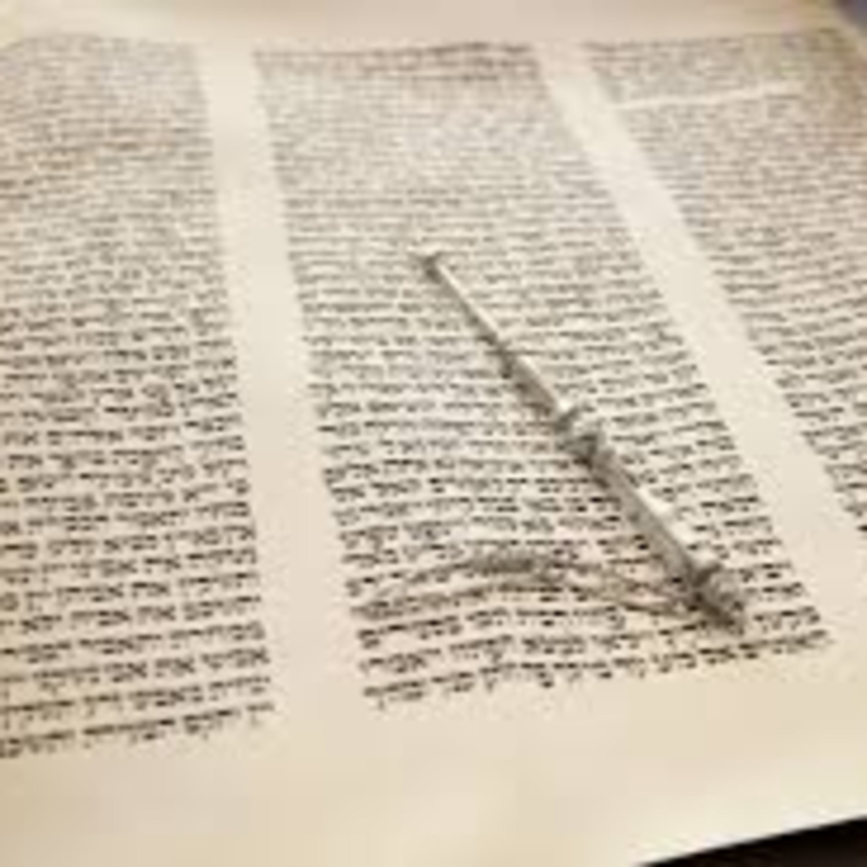 Rabbi Shlomo Agishtein\'s Shiurim