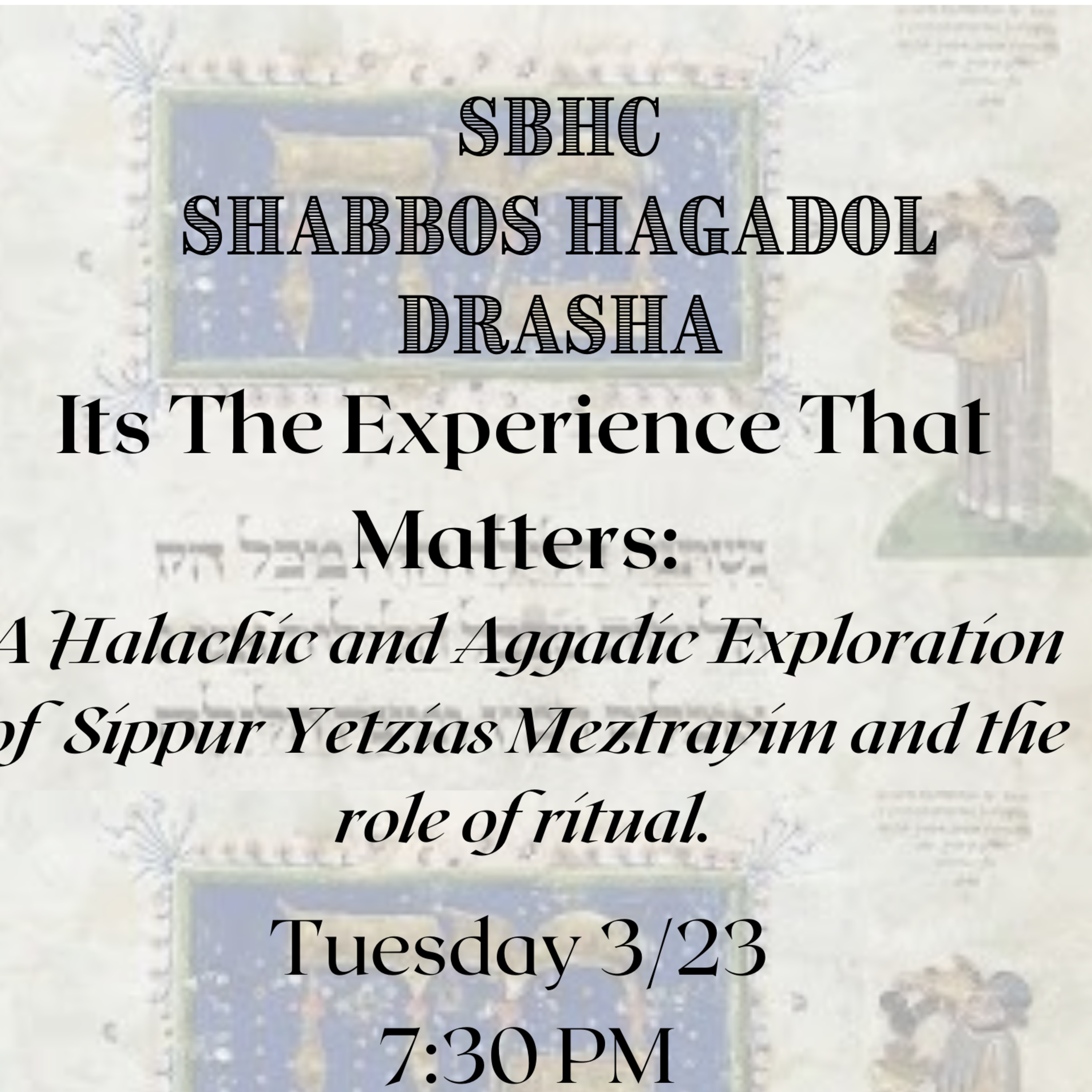 Rabbi Shlomo Agishtein\'s Shiurim