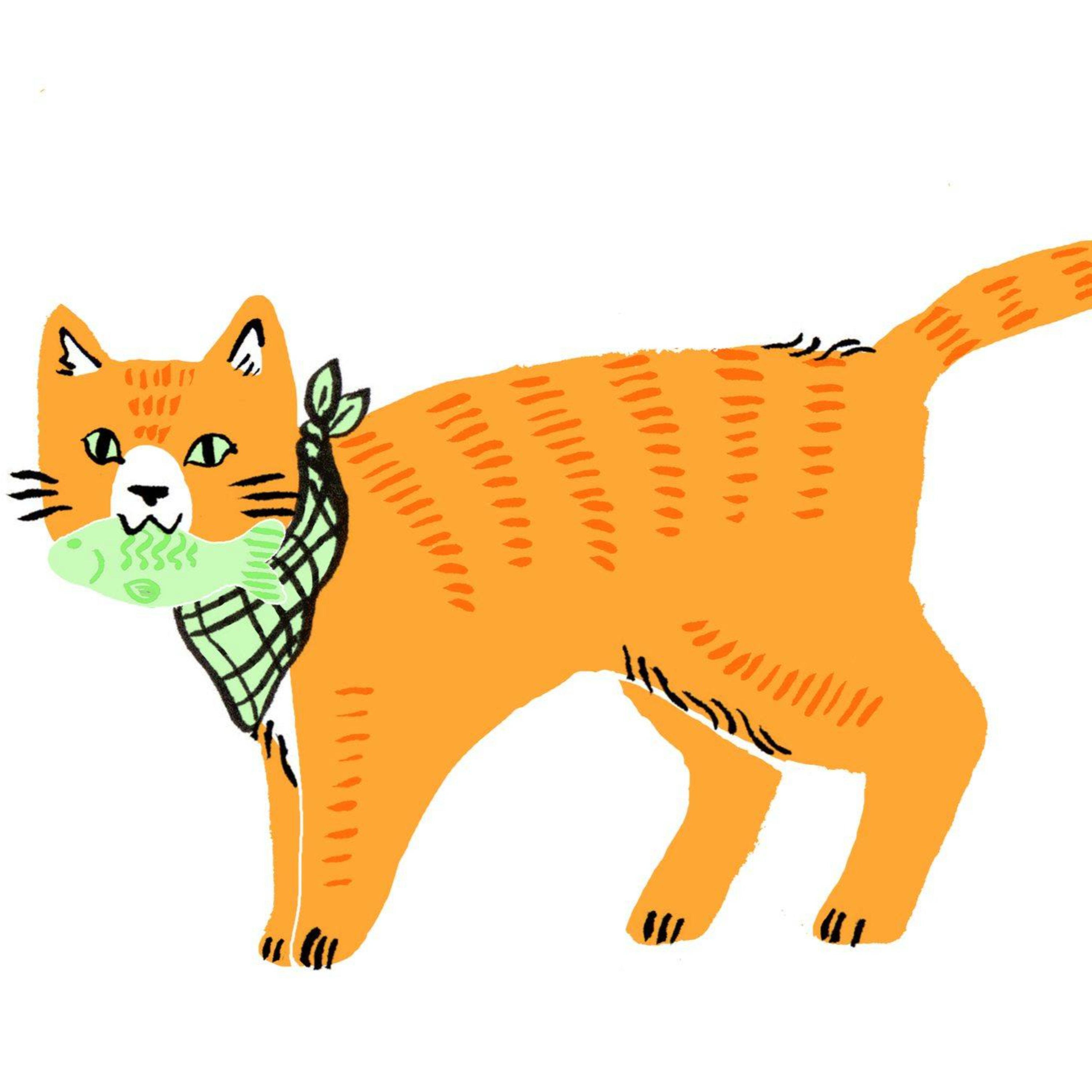 Scottish Fisheries Museum Podcasts