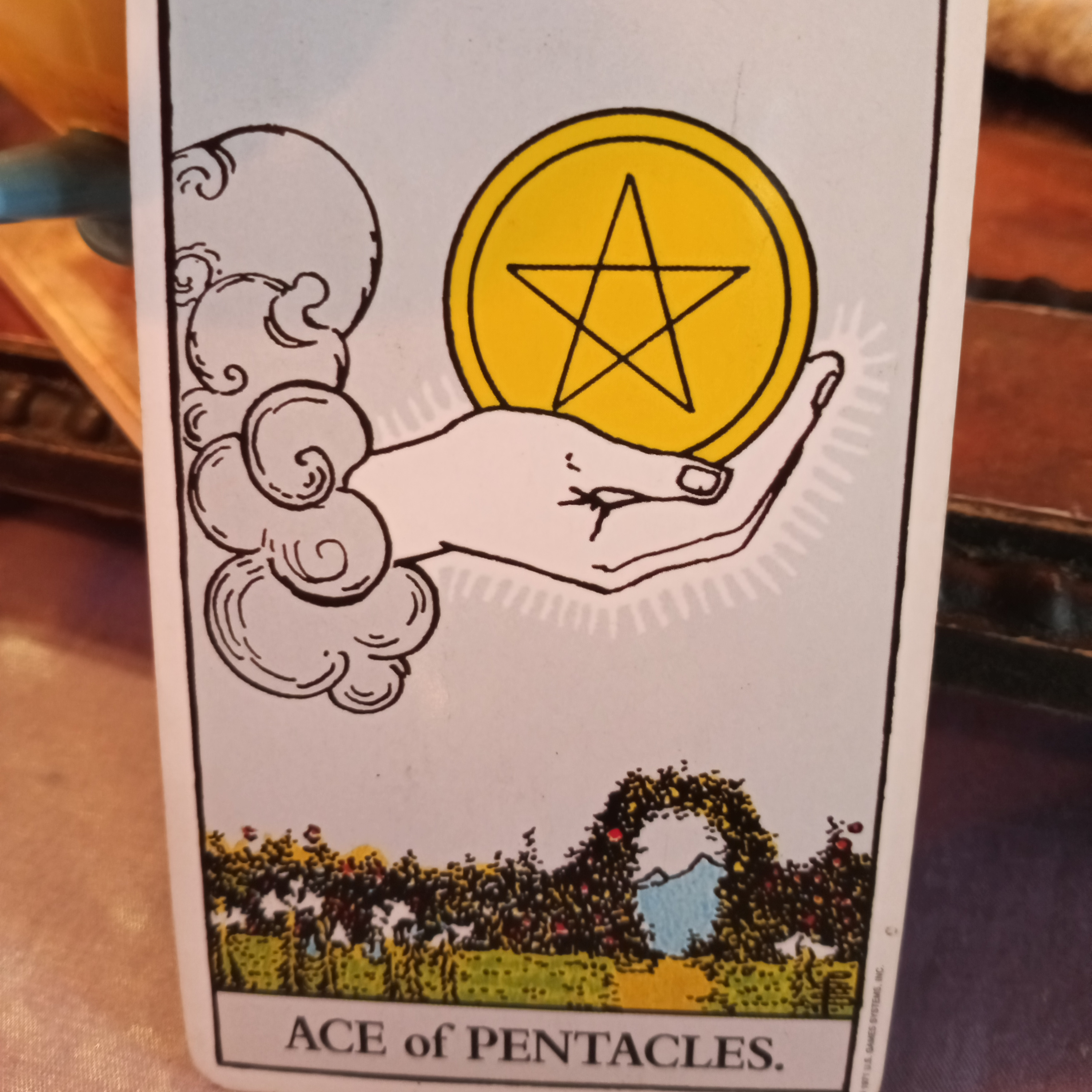 Coffee Tea and Tarot with Tarosophist Michaela Rena