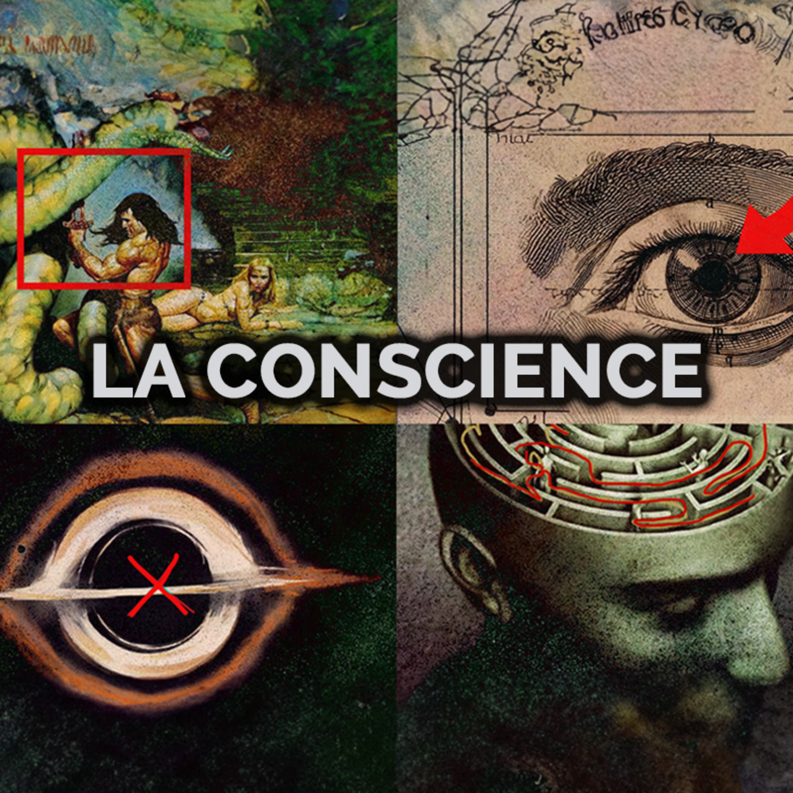 Un voyage dans la conscience humaine