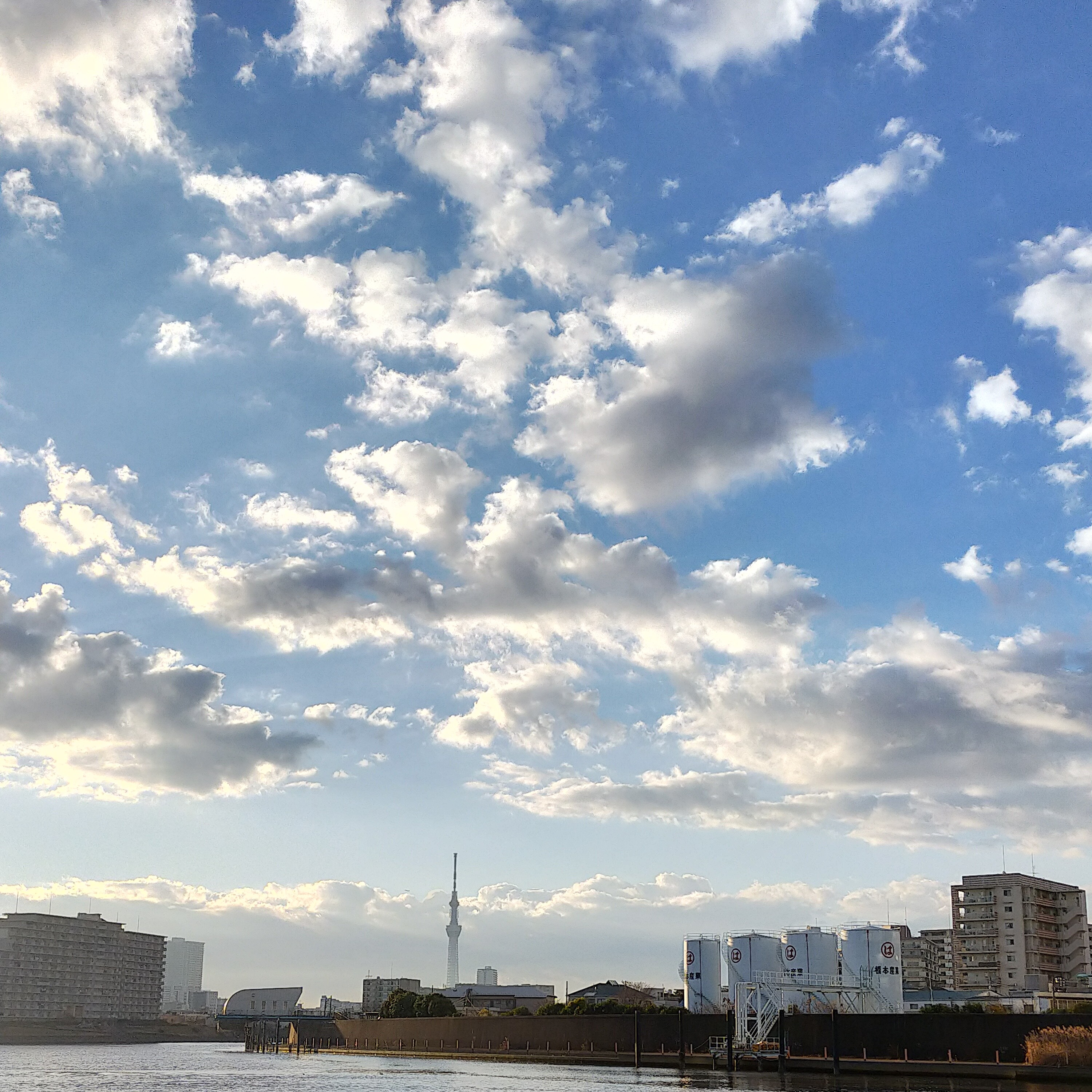 #52 家に帰るまでが遠足です、の解釈が昔とは違うように感じる今日この頃、そしてこれが今年最終、の回 episode artwork