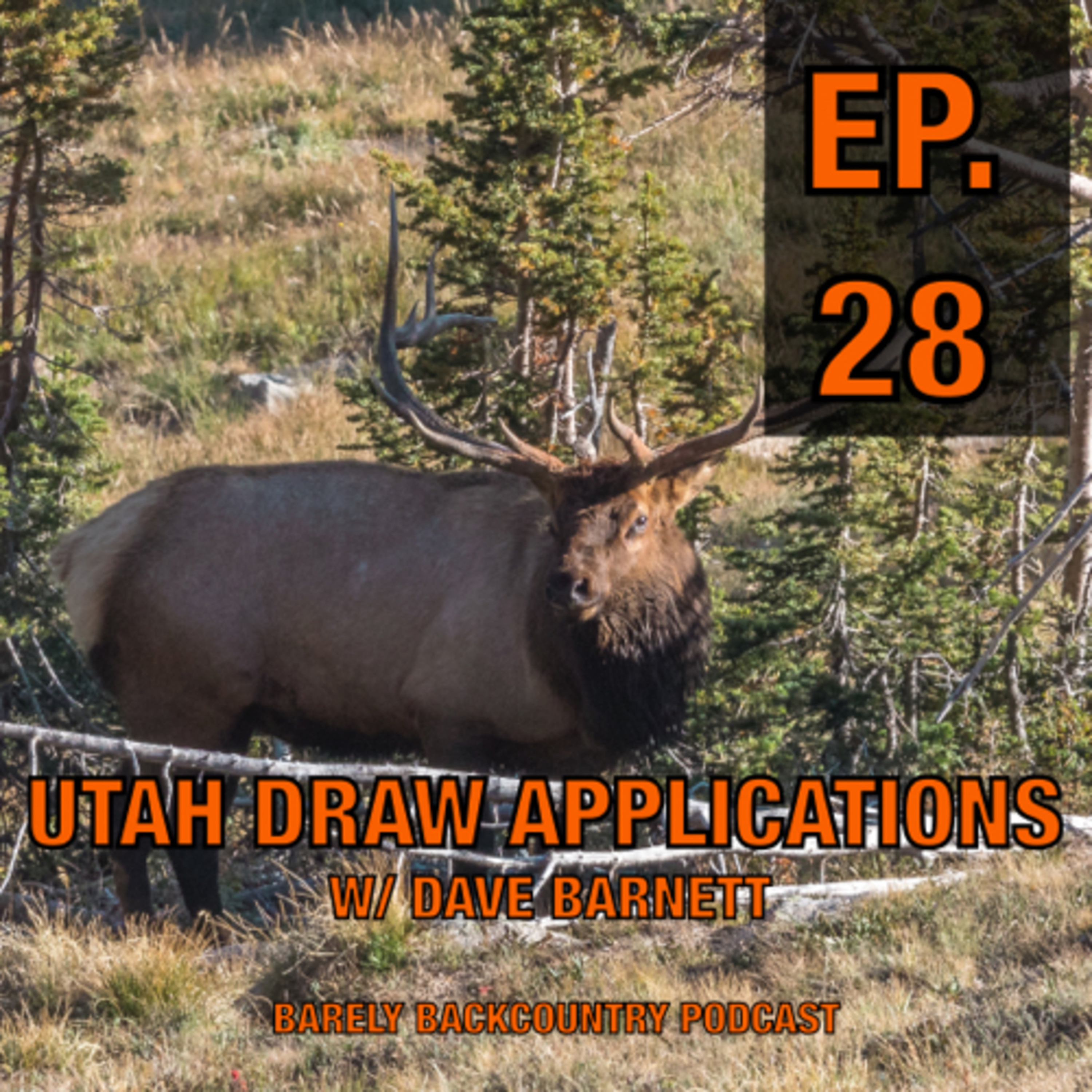 BARELY BACKCOUNTRY PODCAST