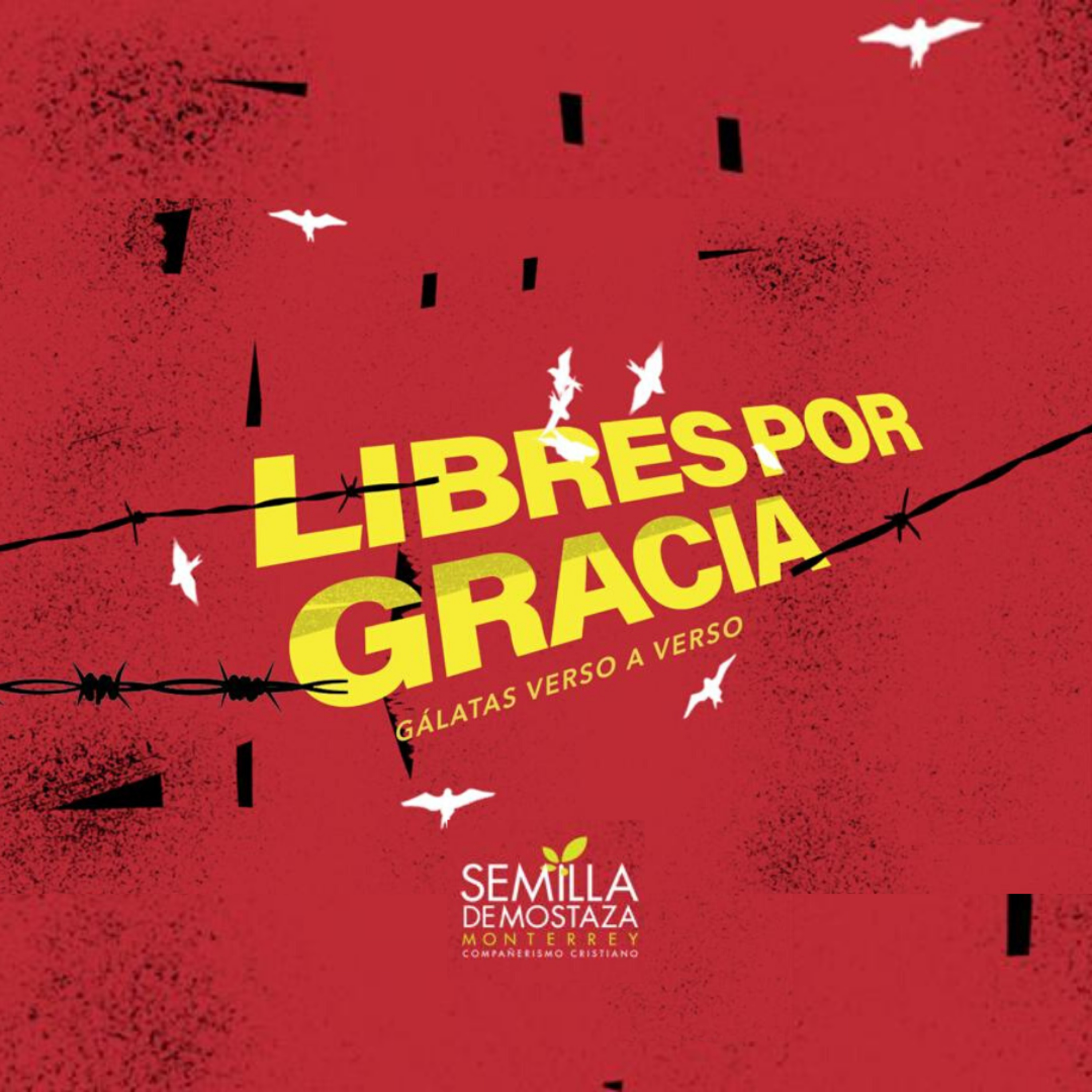 Gálatas 2:1 al 10 "Libres por Gracia"