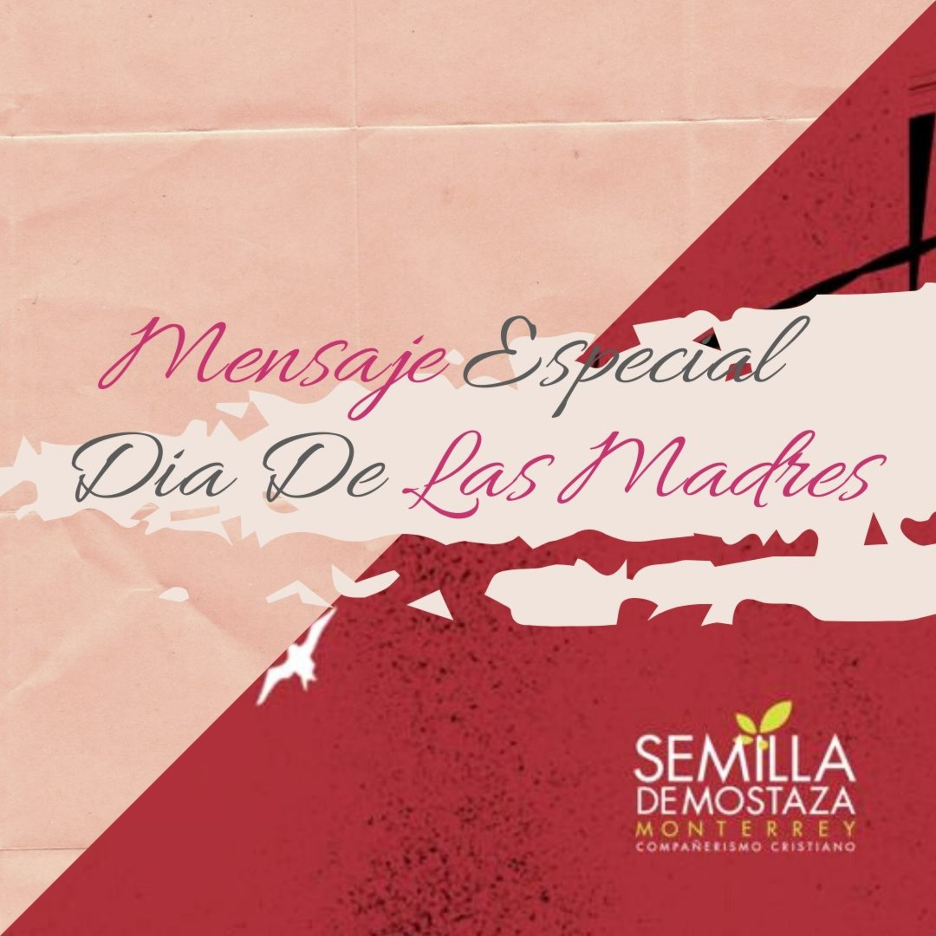 Portada de Semilla Monterrey