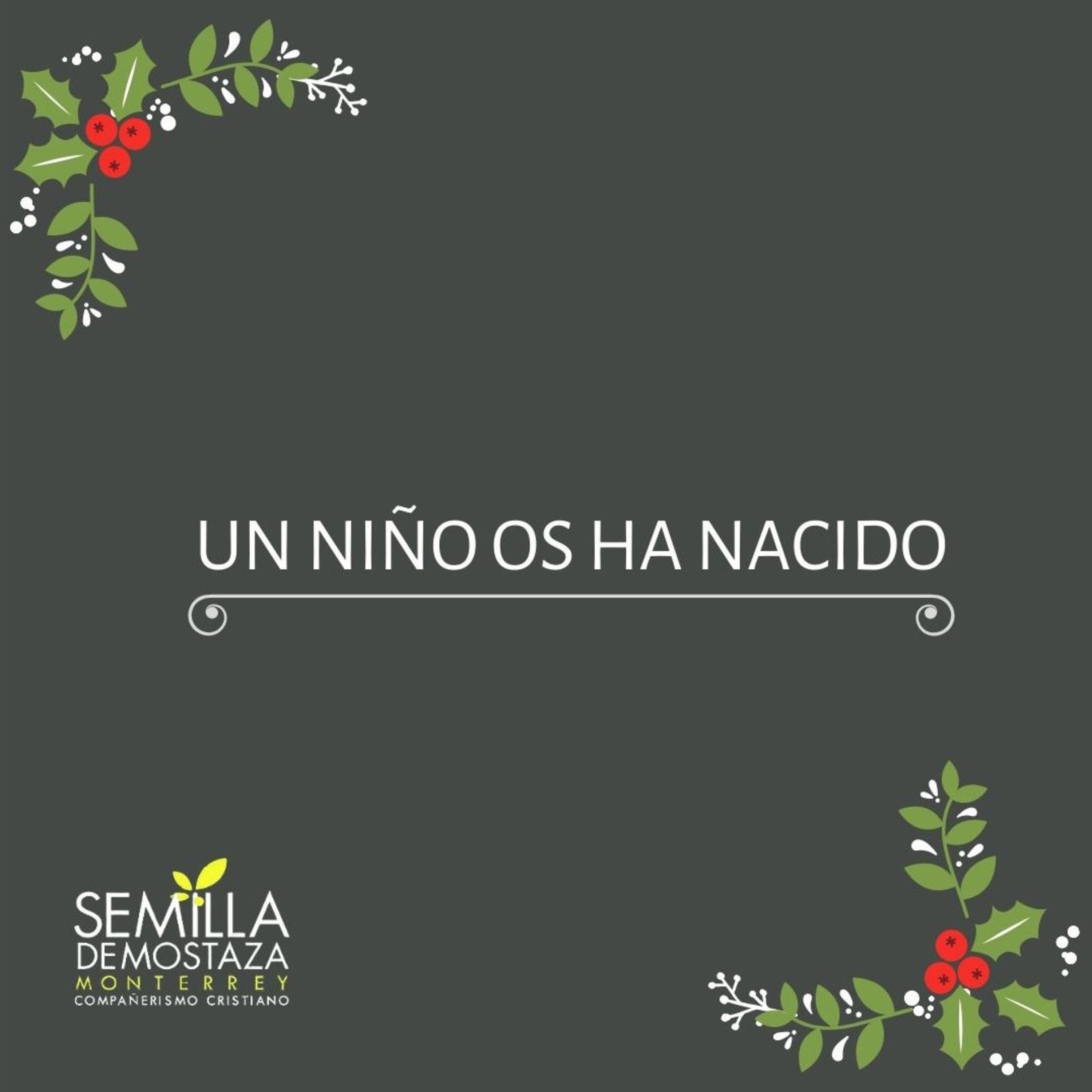 Un niño os ha nacido.