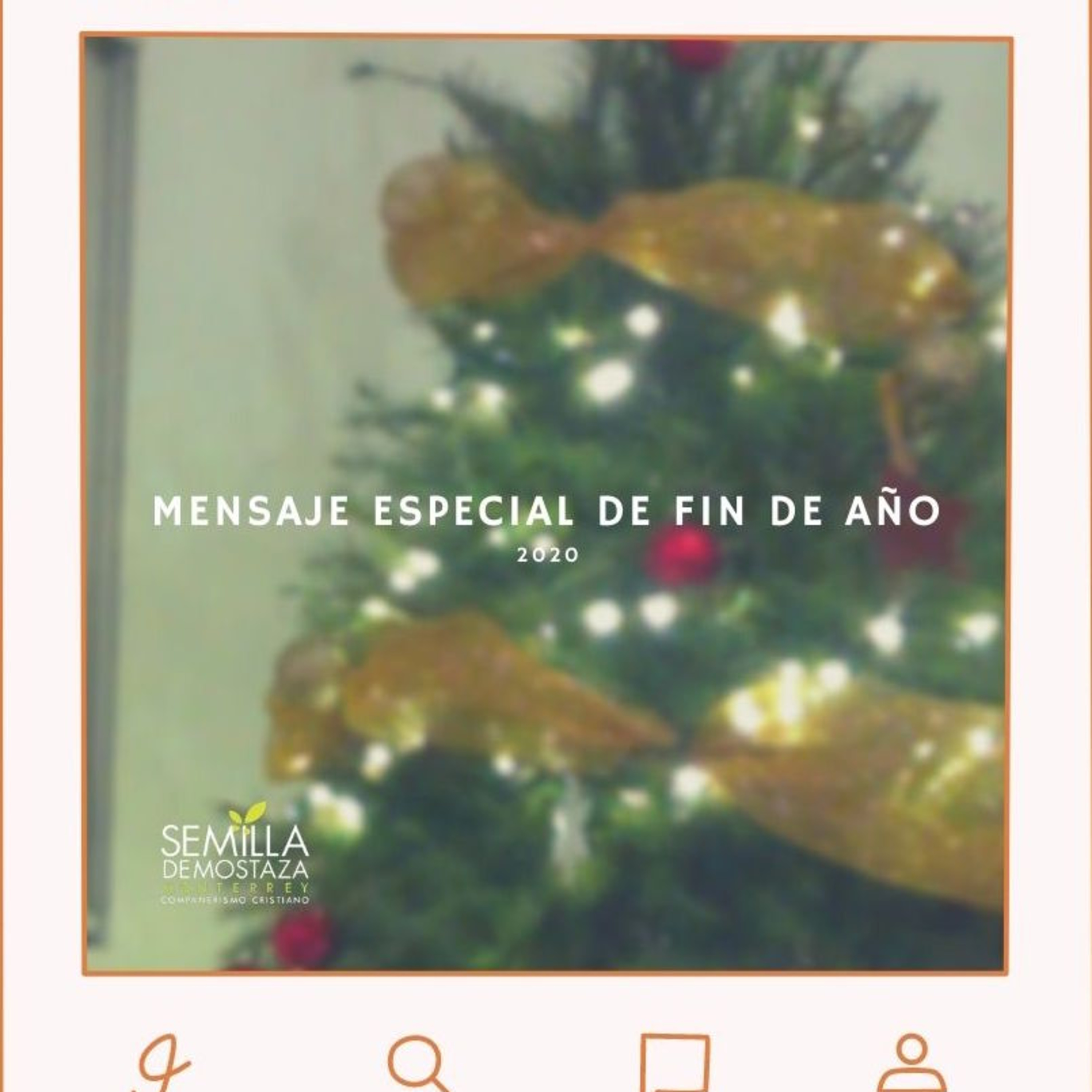 Portada de Semilla Monterrey