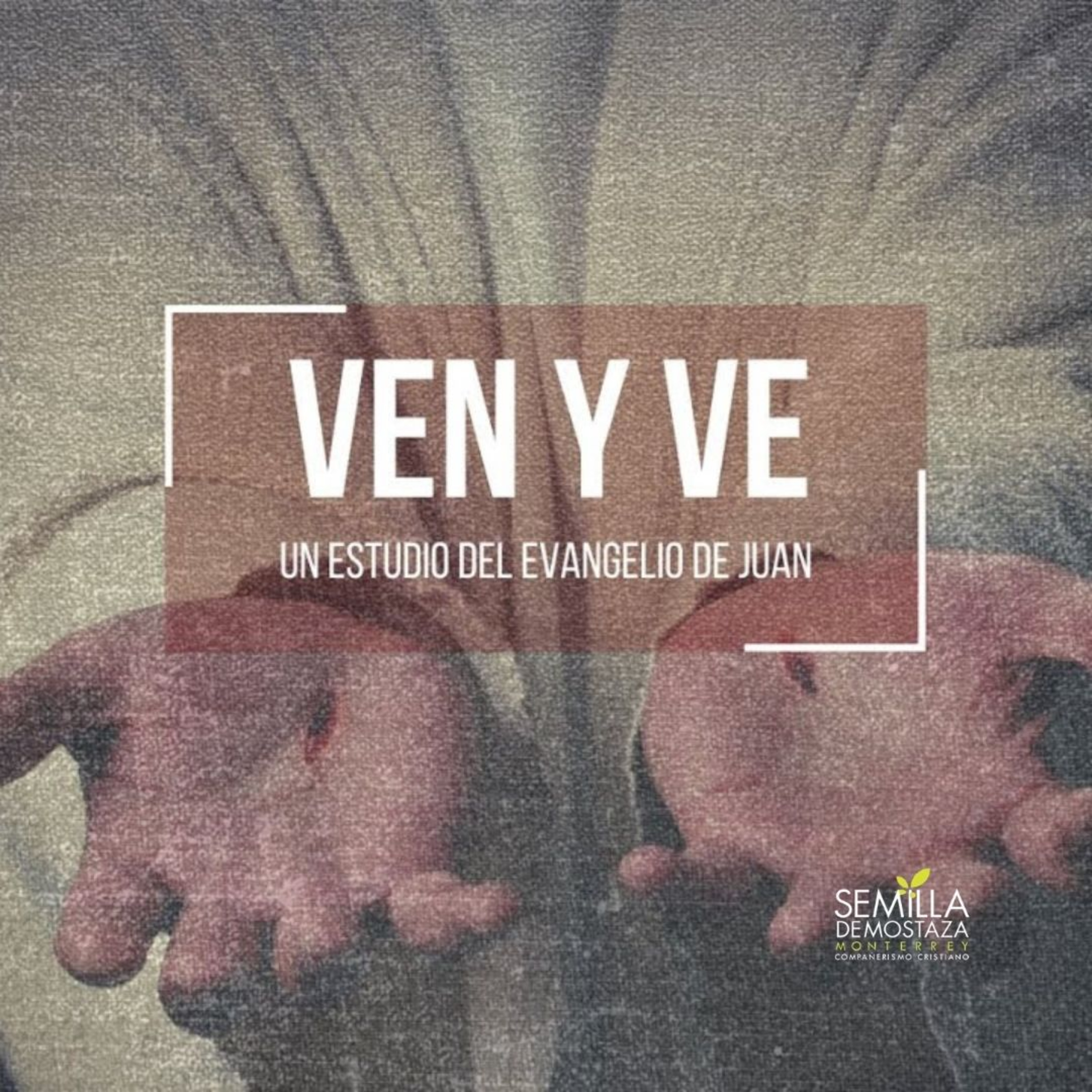 "Ven y ve" - Evangelio de Juan 5:1-19