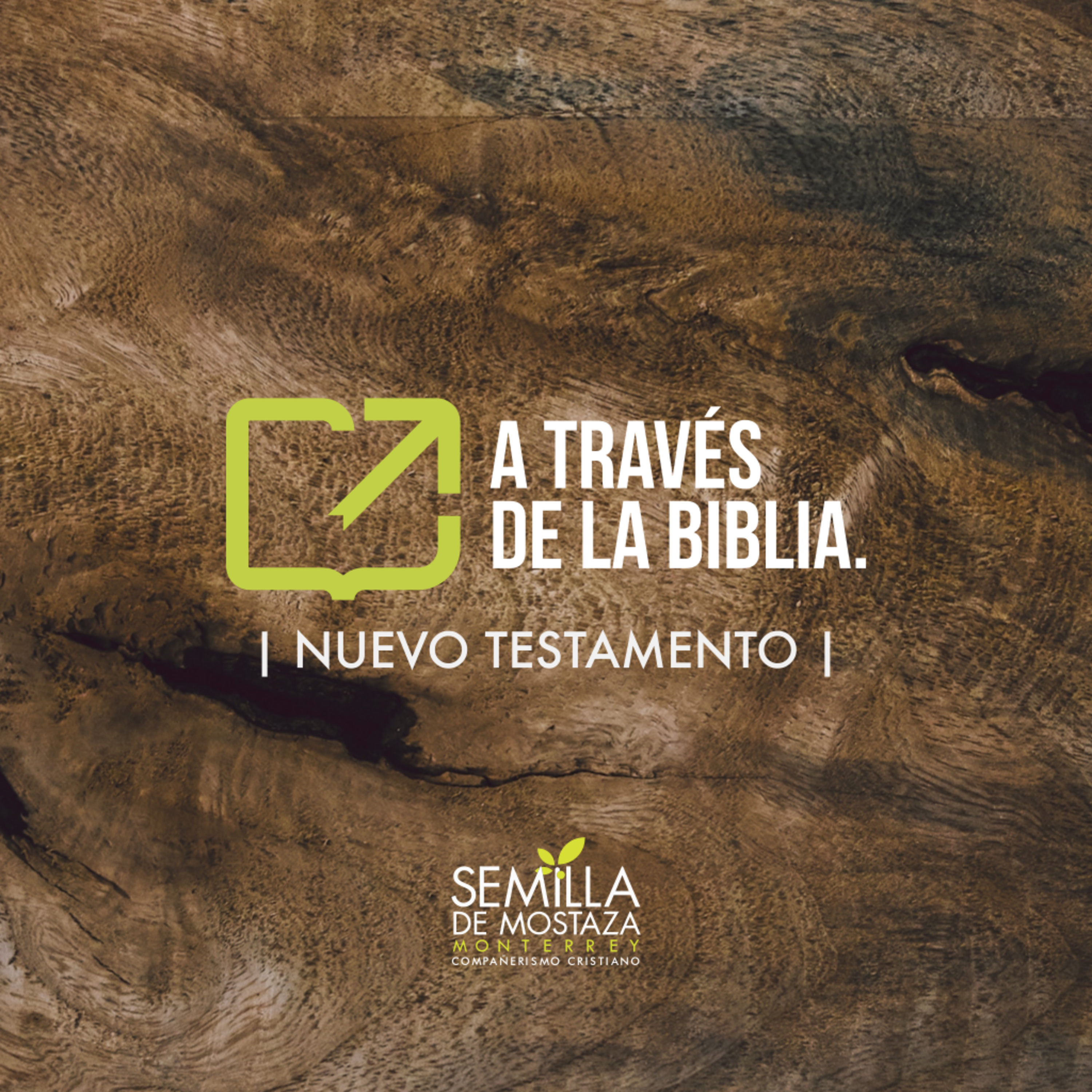 Semilla Monterrey
