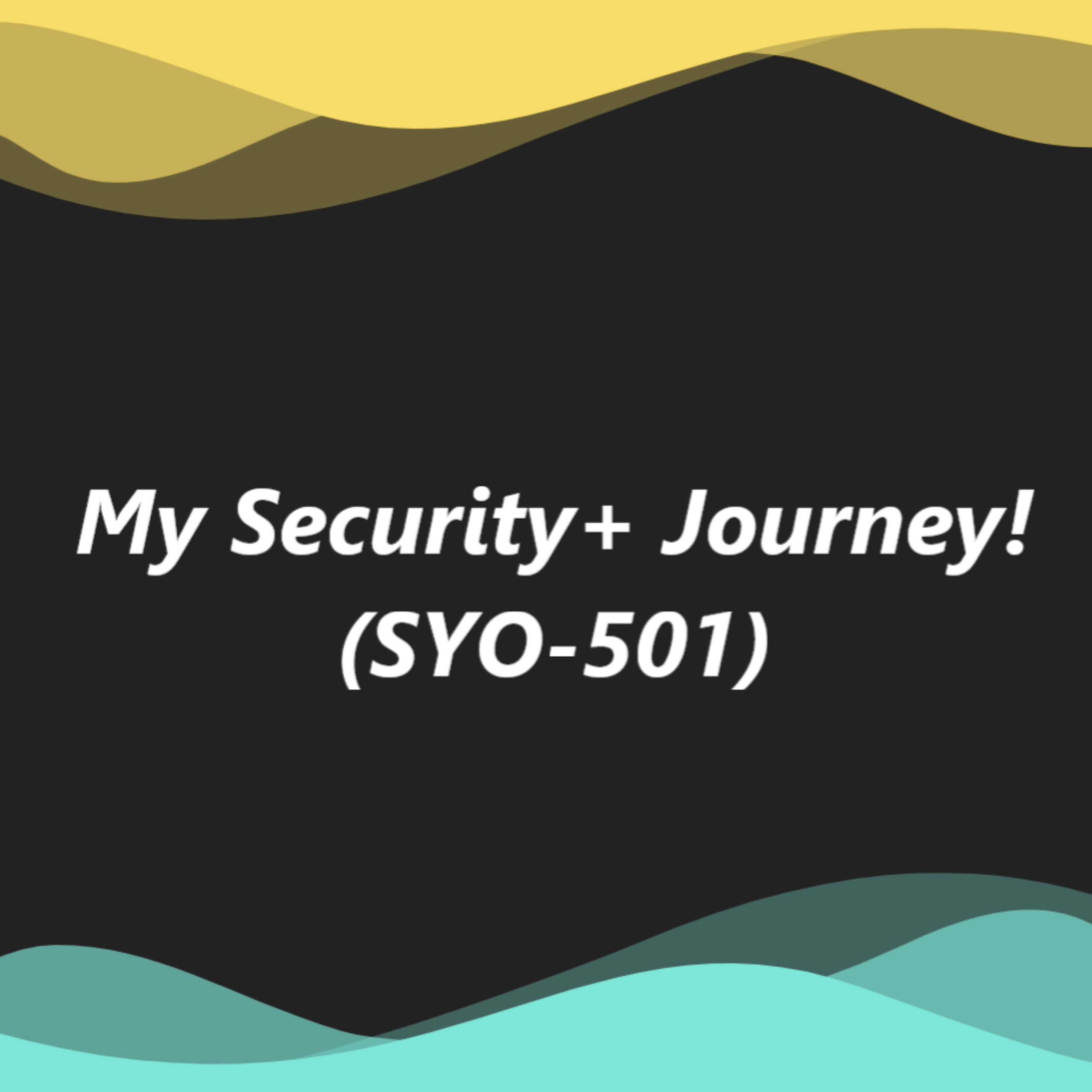My Security+ Journey: EP11 - Man-in-the-middle, Buffer Overflows and Data Injection