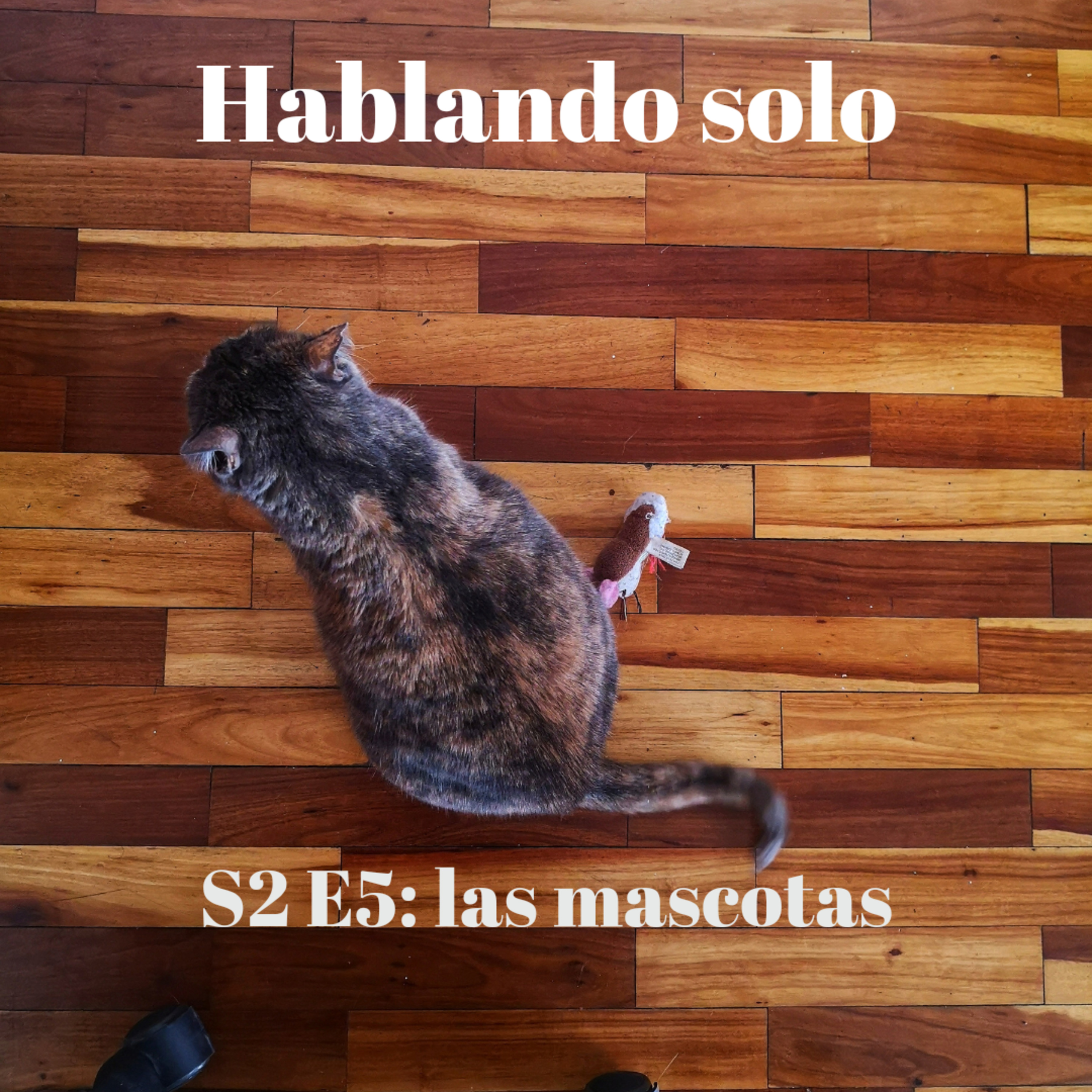 Hablando solo