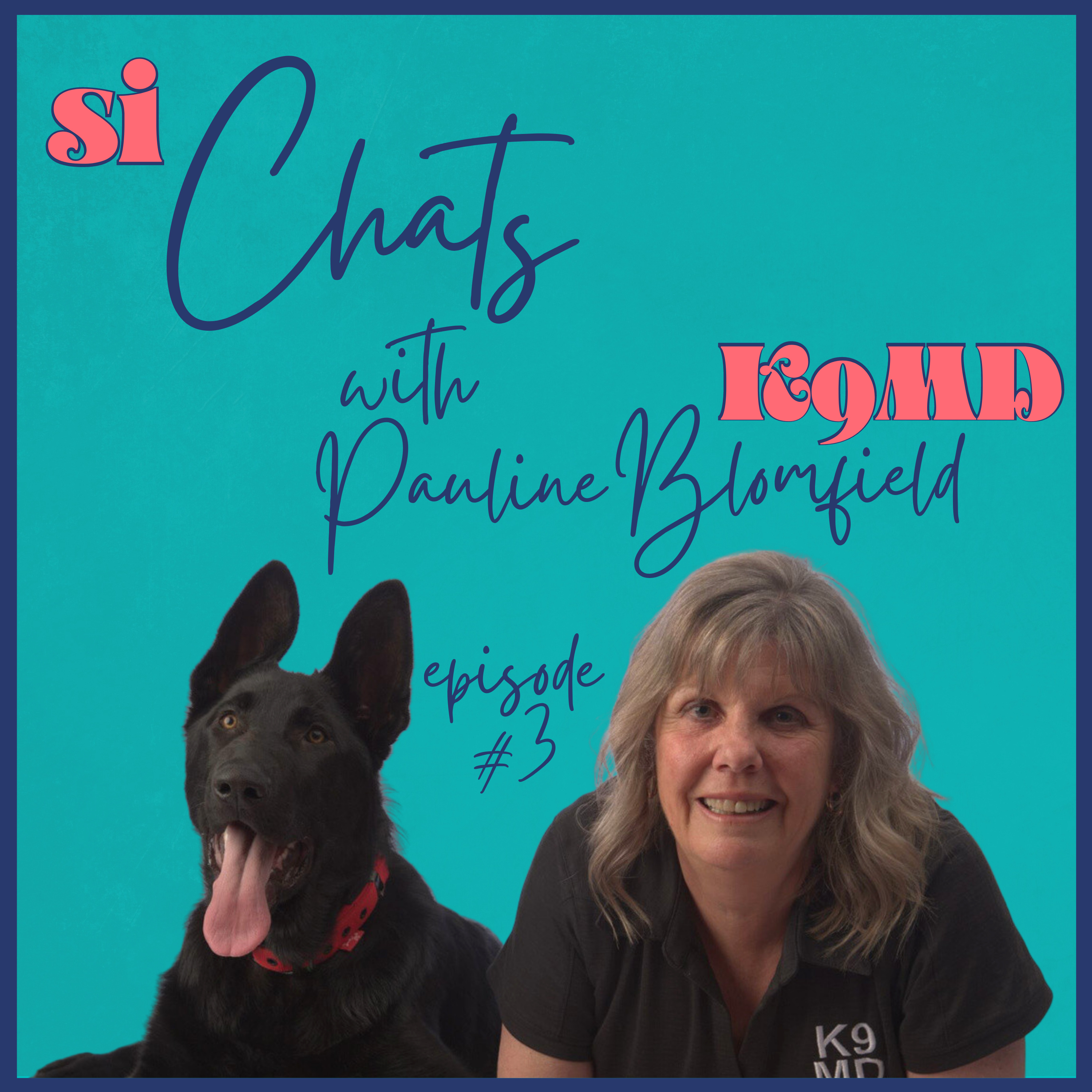 Four Legged Diagnostic Tool - with K9MD