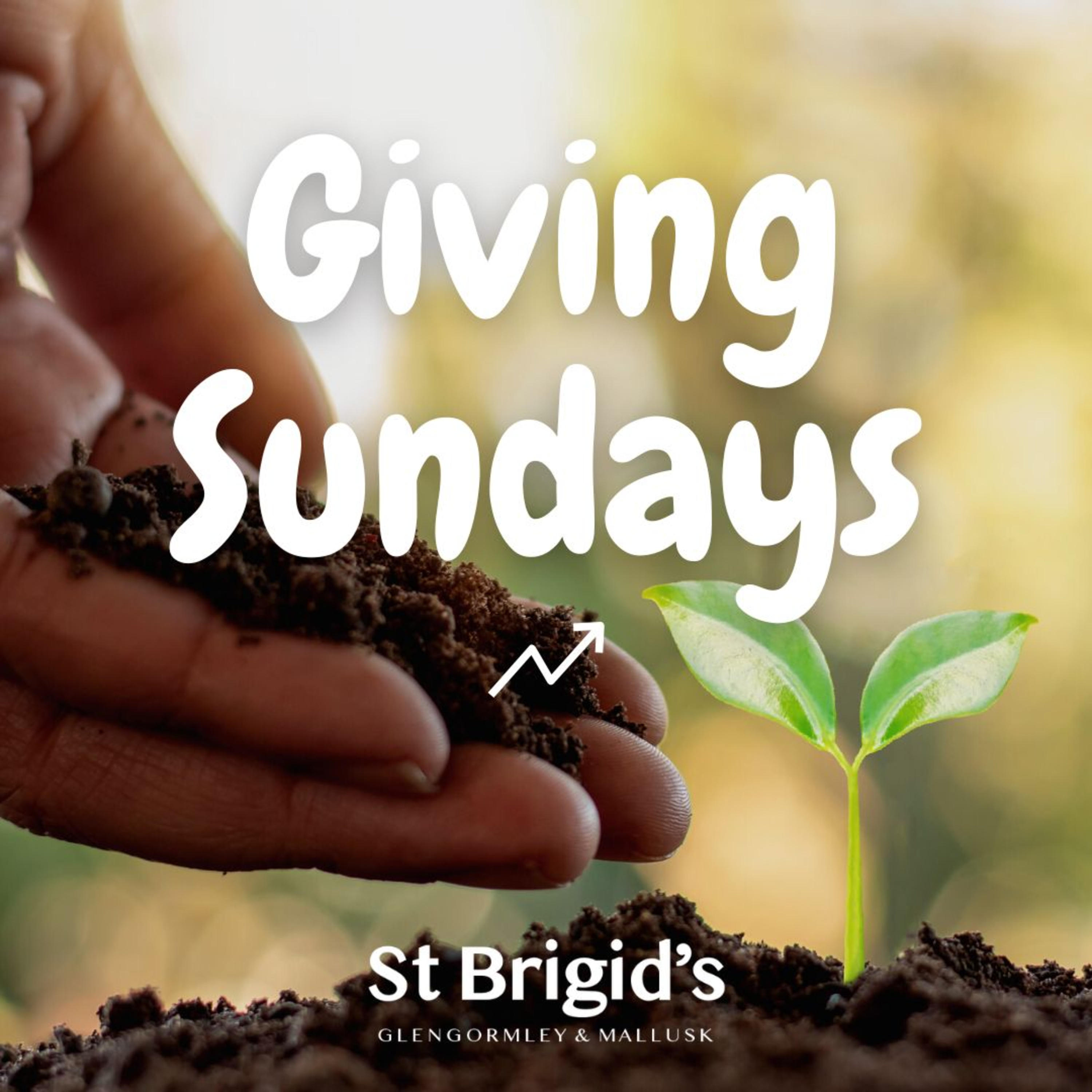 St Brigid\'s Sermons