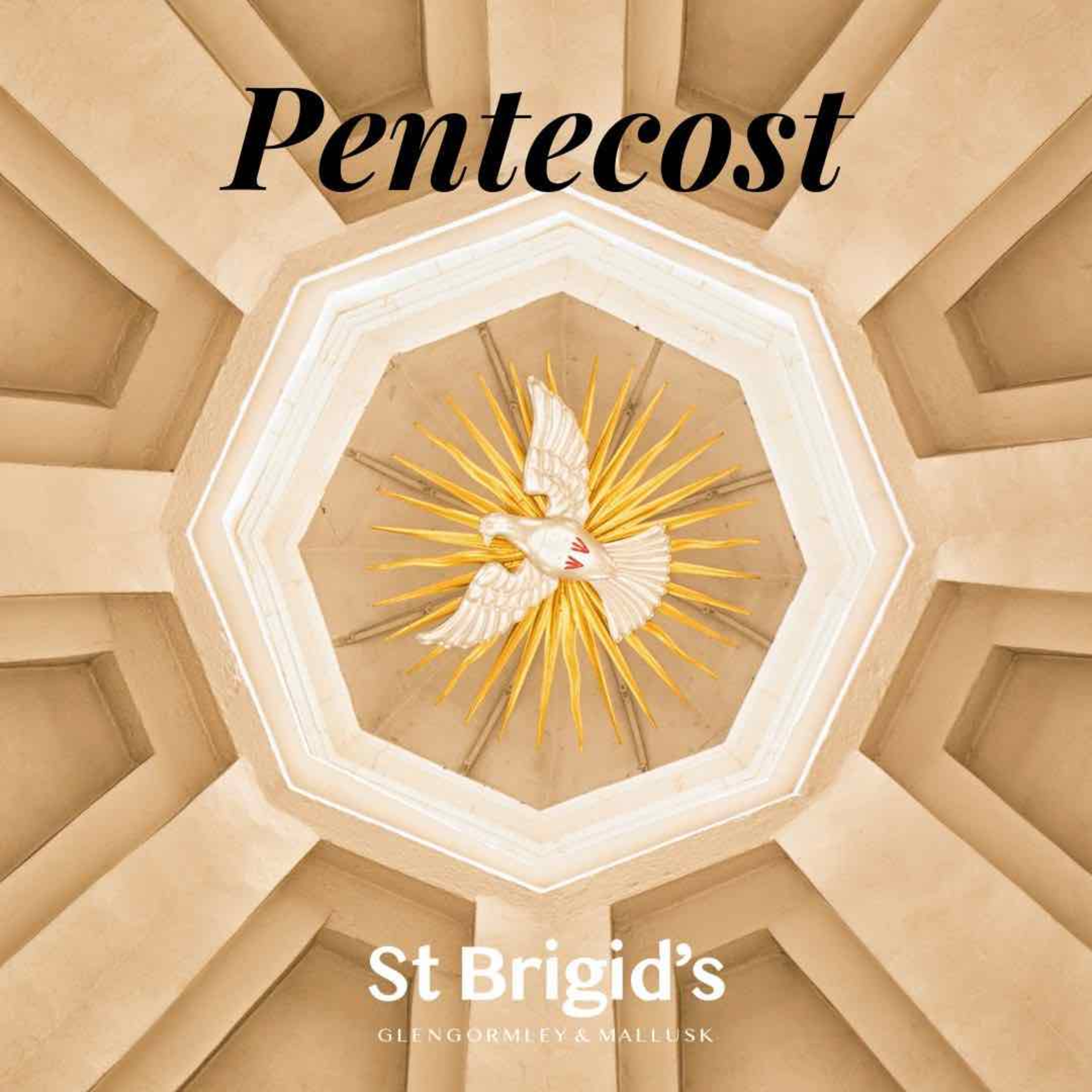 St Brigid\'s Sermons