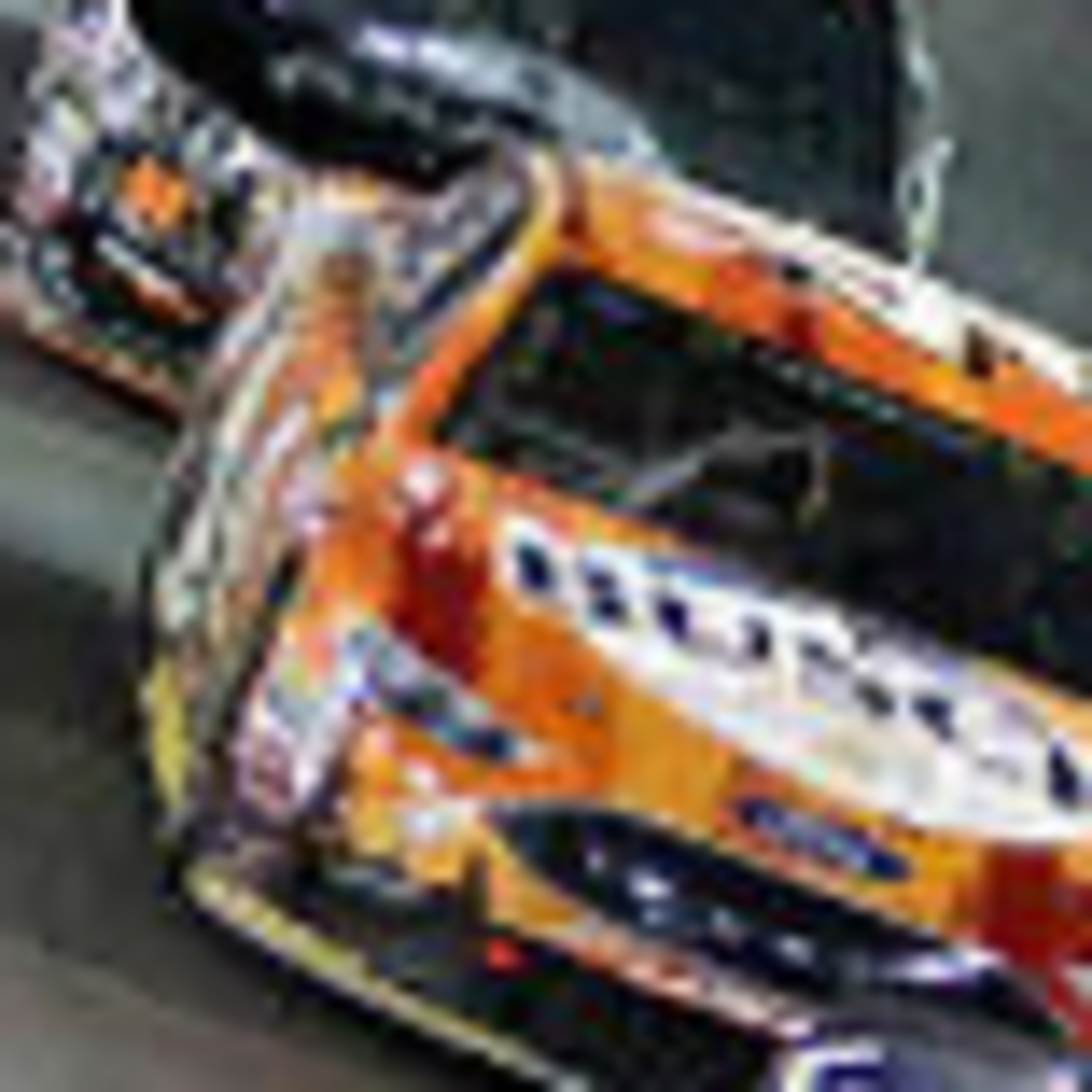 The nascar series:episode 25:season 1 episode artwork