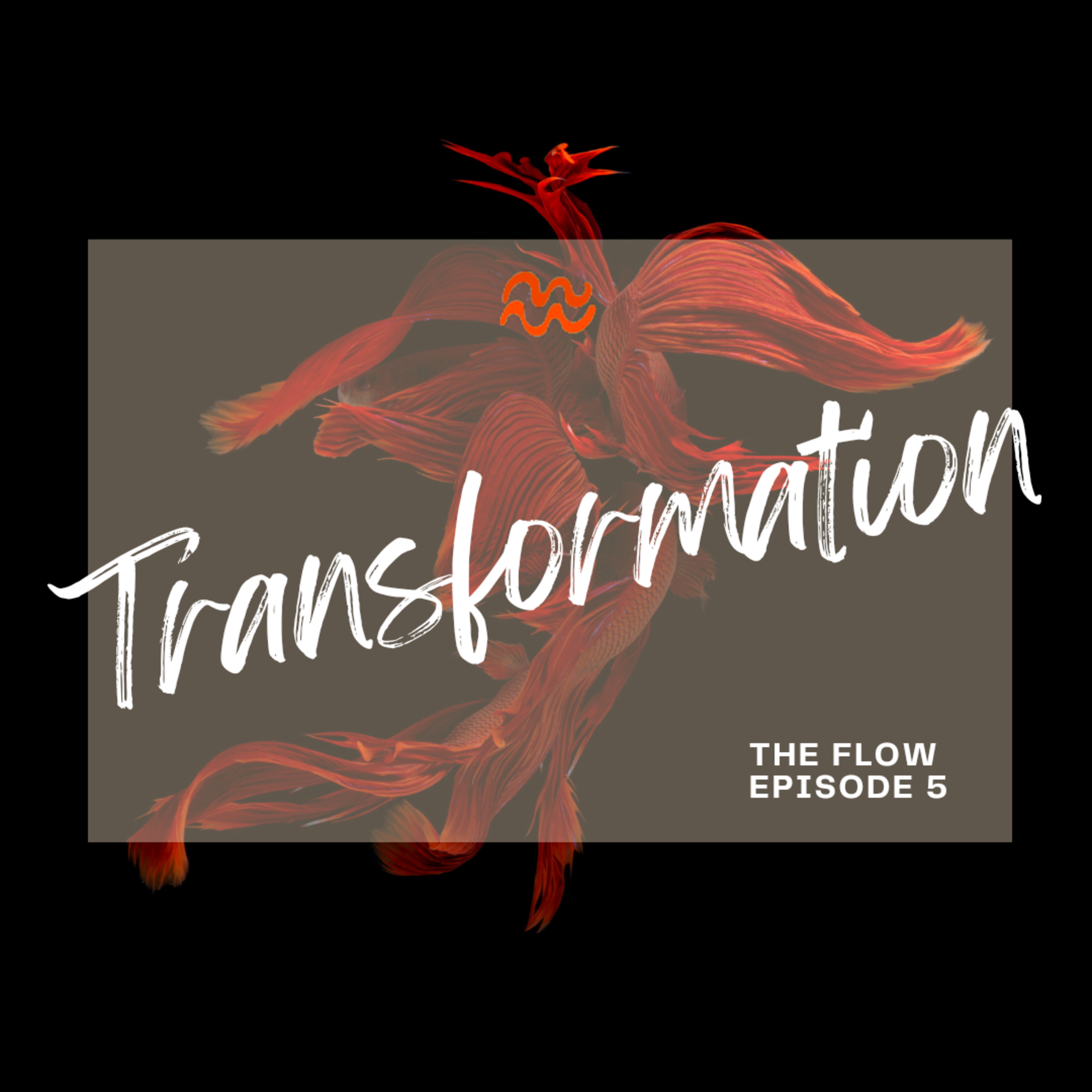 Transformation episode artwork