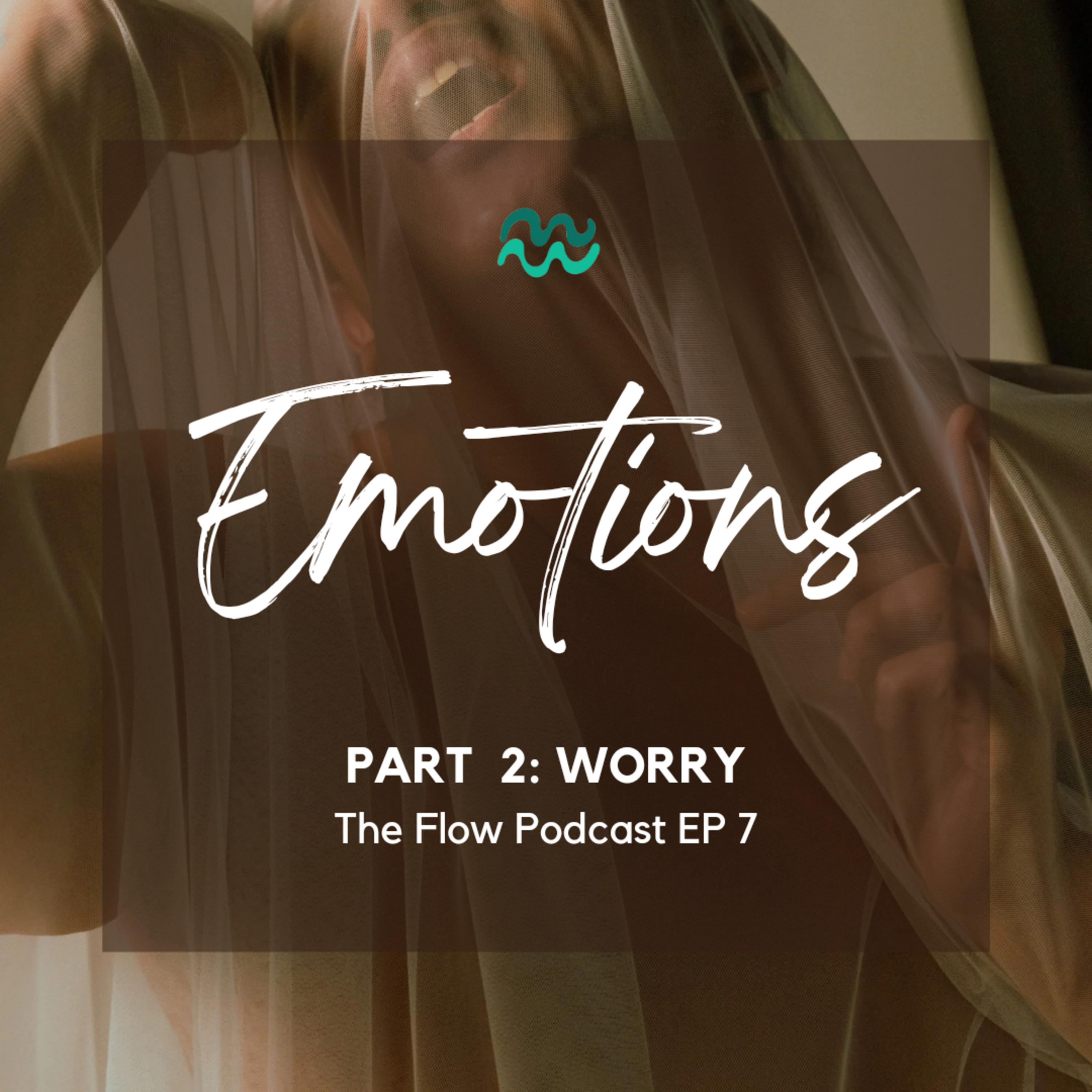 Emotions:(Part 2): Worry episode artwork