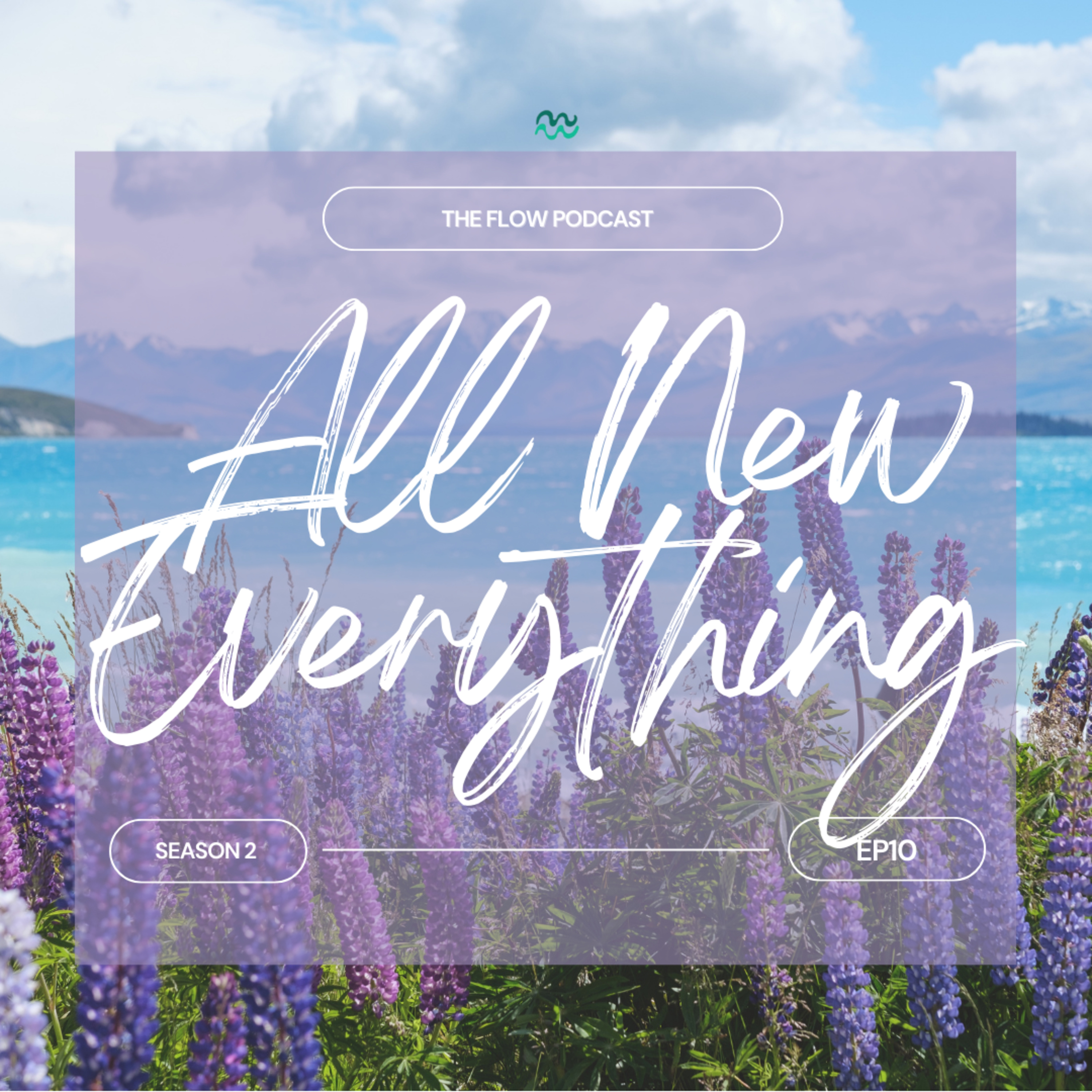 All New Everything  episode artwork
