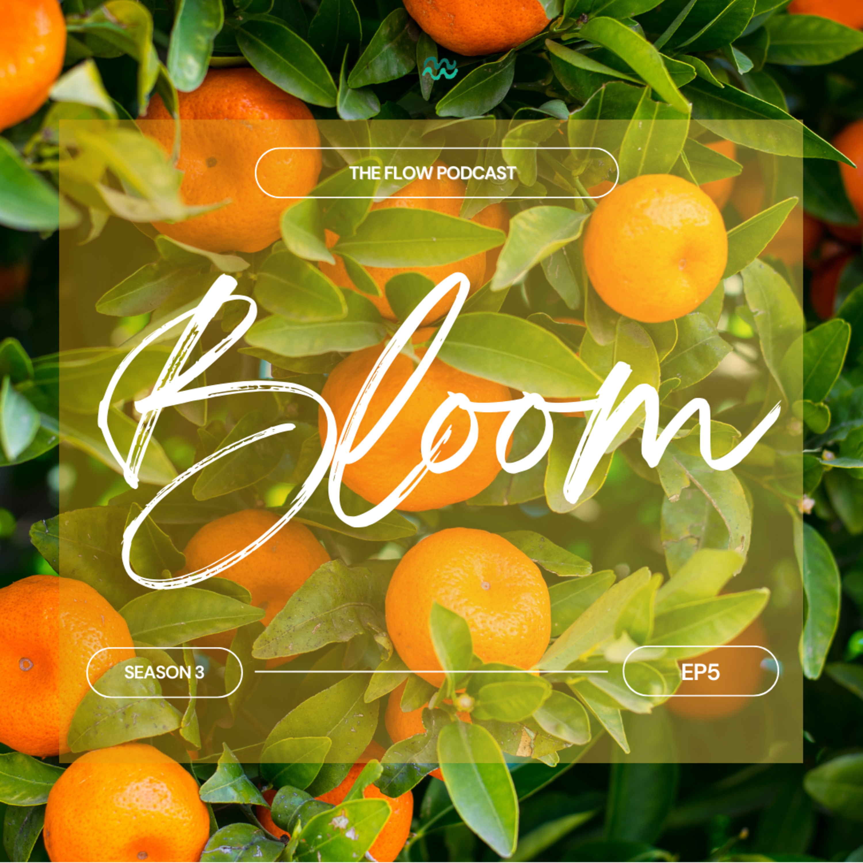 Bloom episode artwork