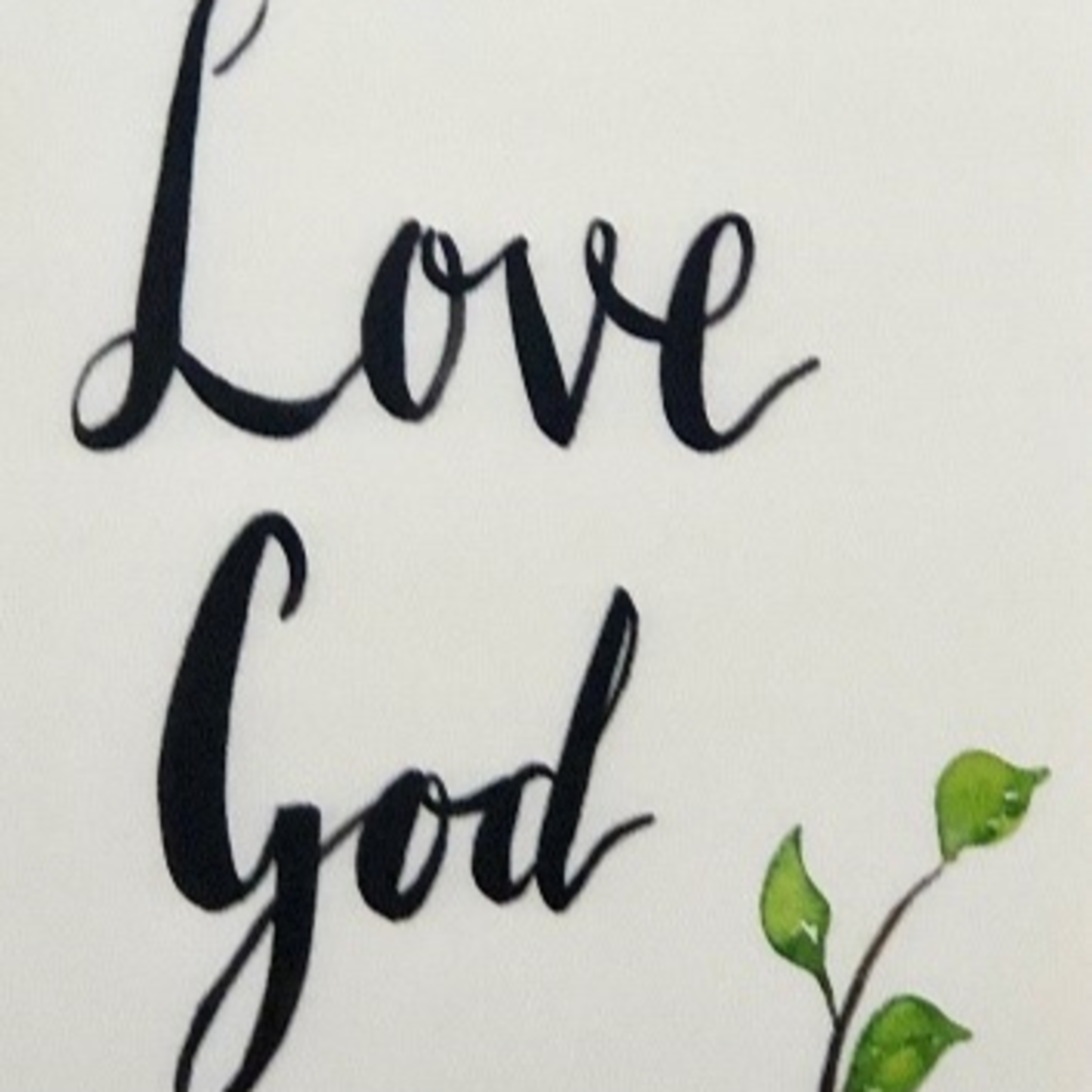 Te Awamutu Bible Chapel Messages