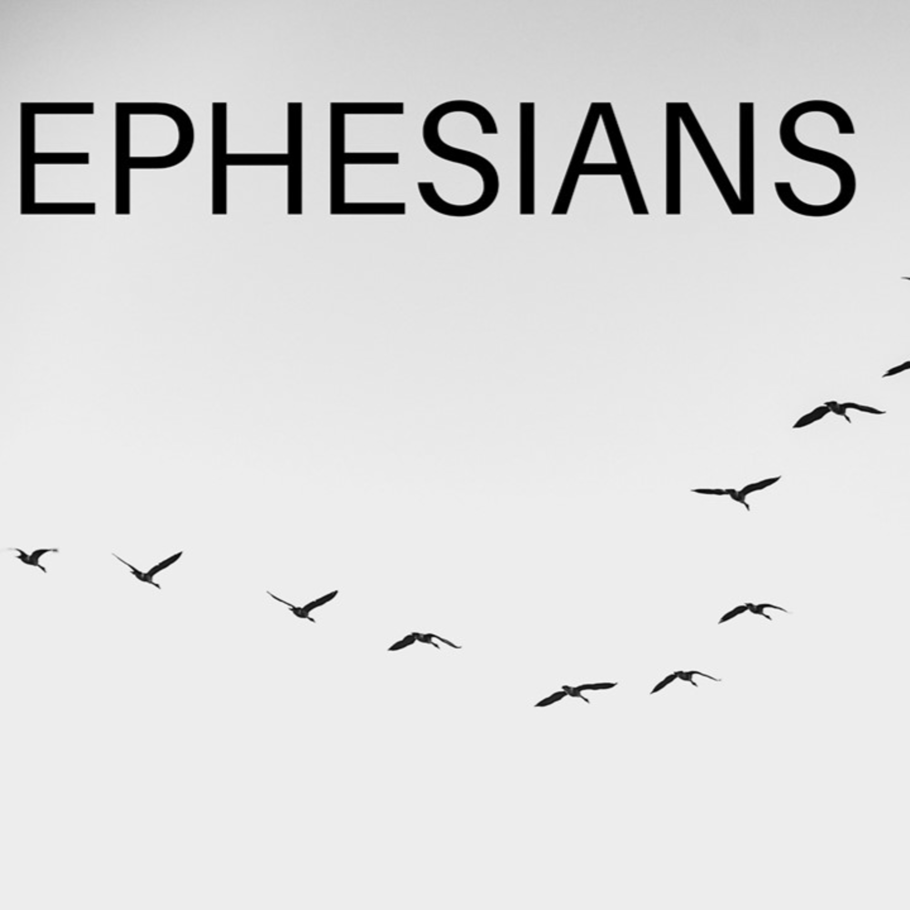 Te Awamutu Bible Chapel Messages