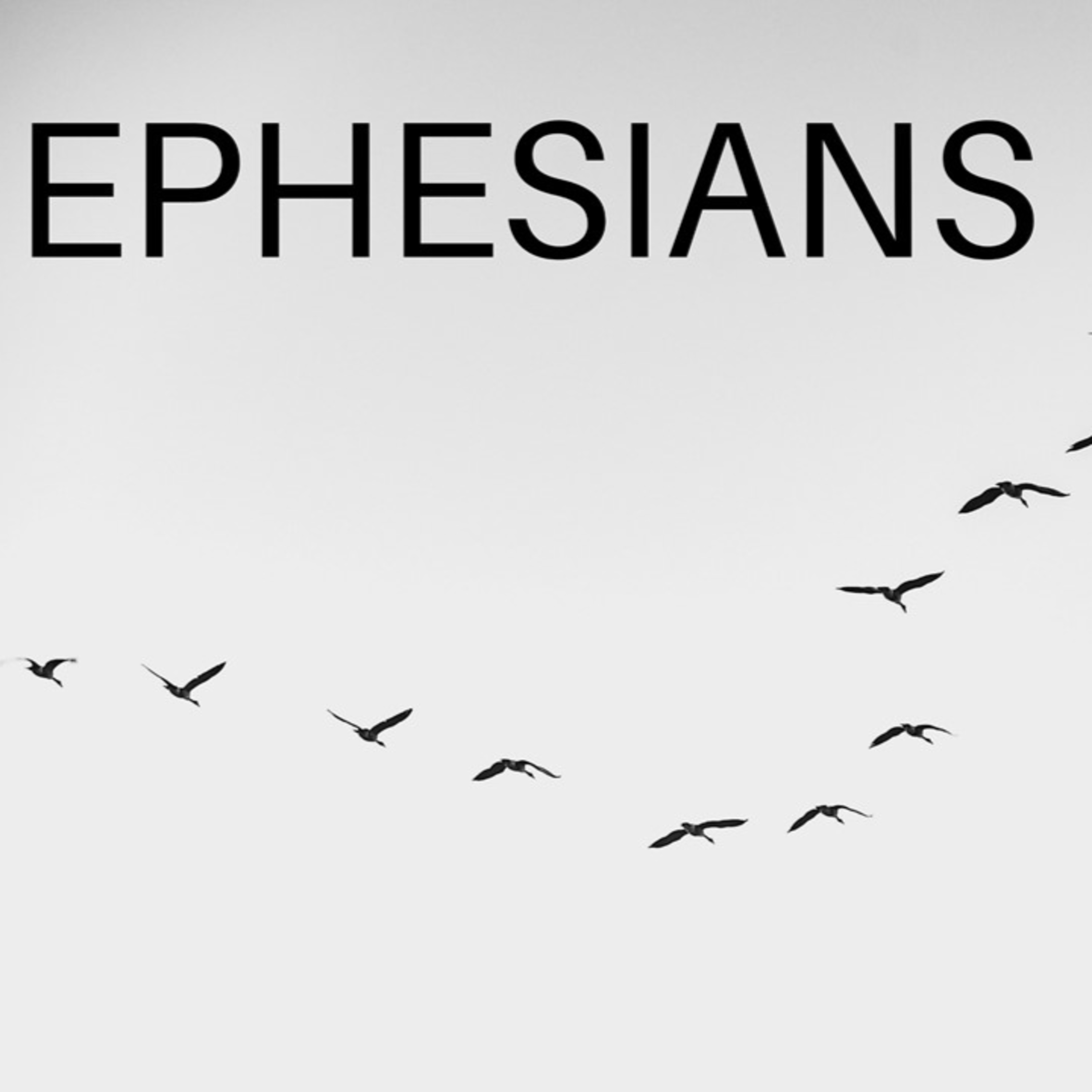 Te Awamutu Bible Chapel Messages