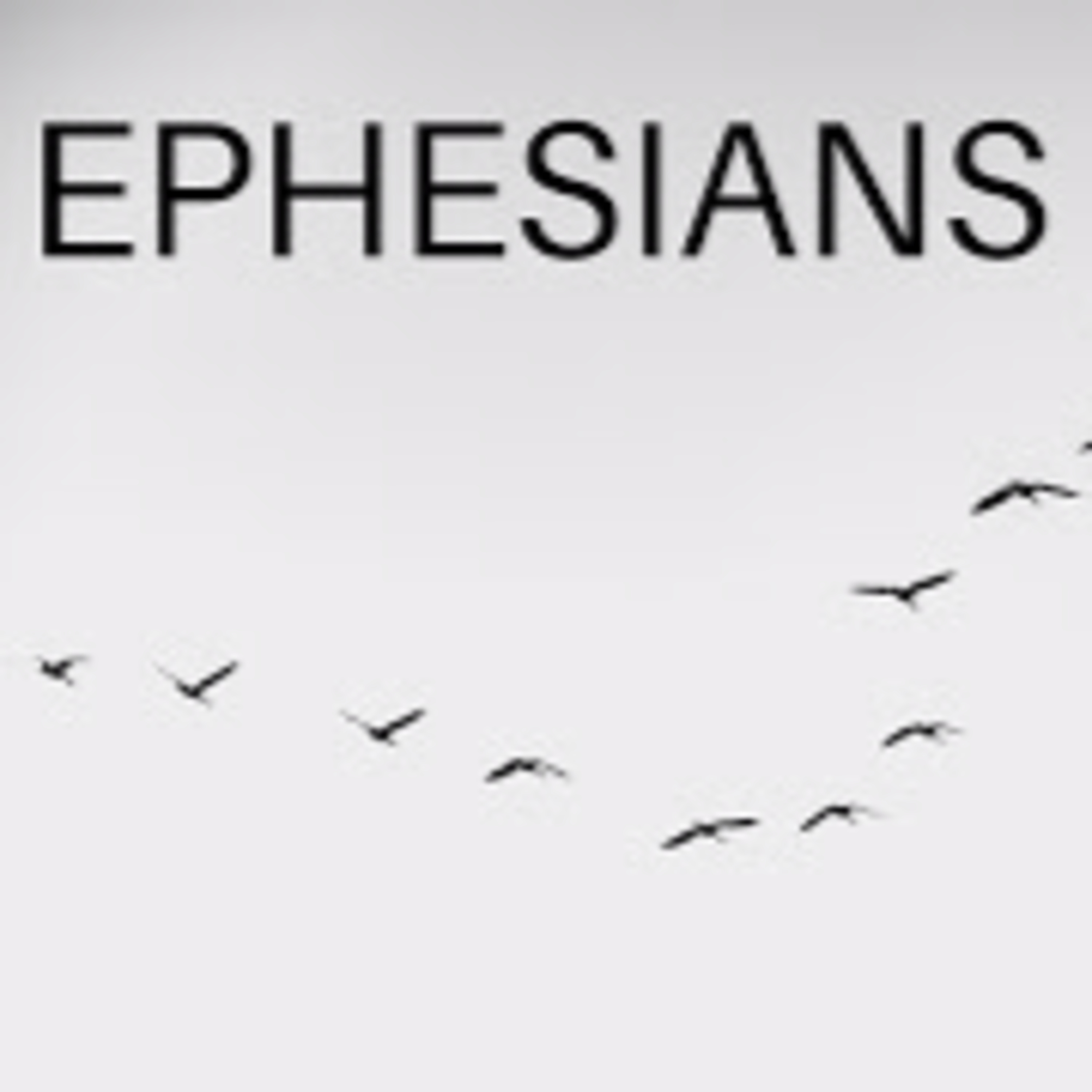 Te Awamutu Bible Chapel Messages
