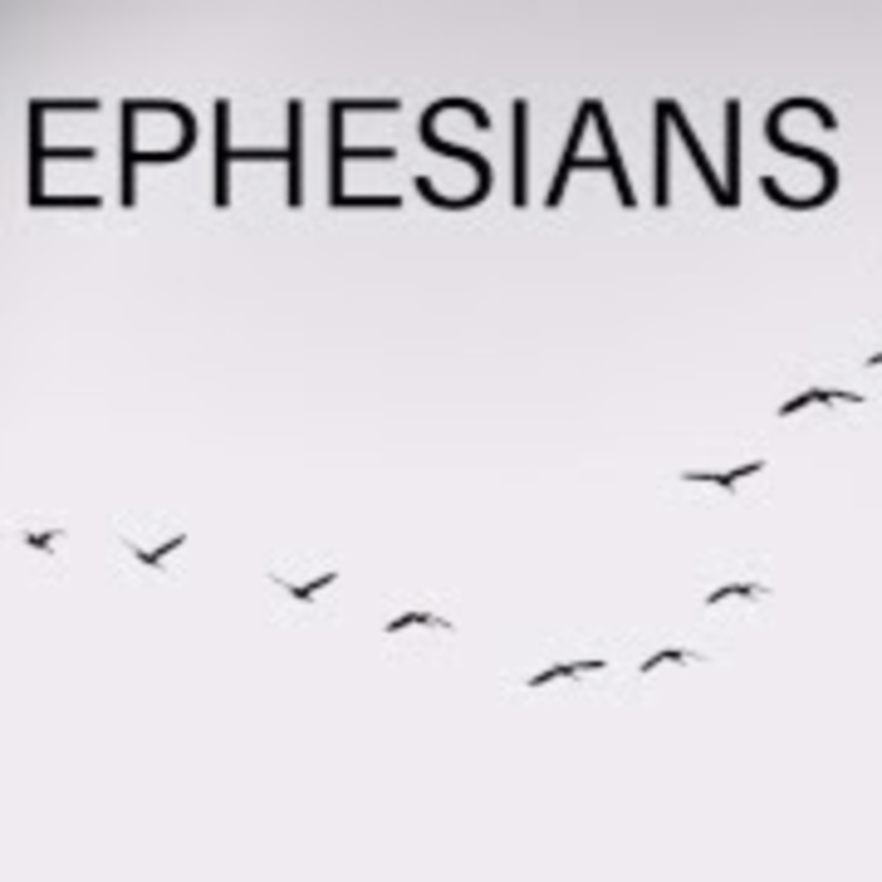 Te Awamutu Bible Chapel Messages