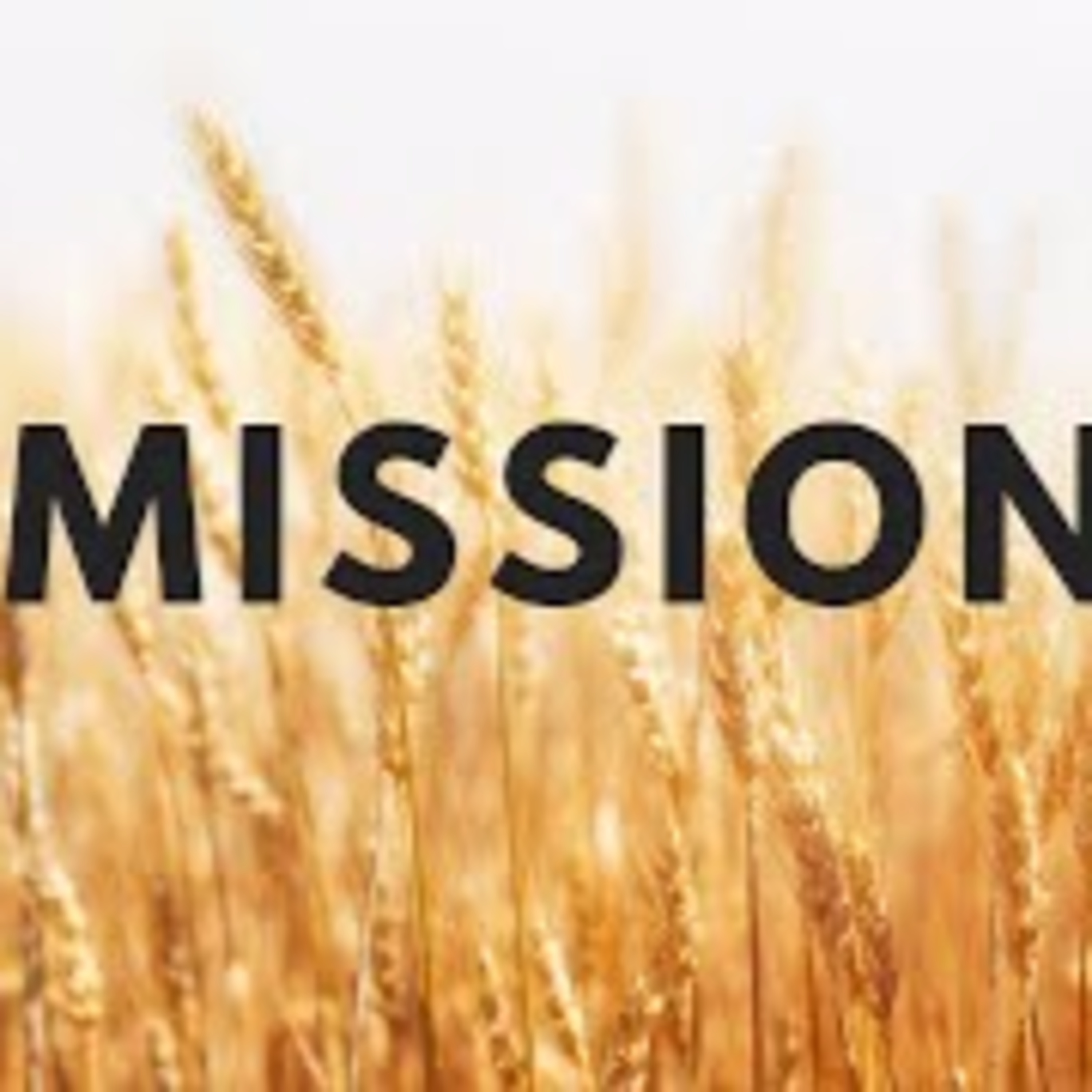 Te Awamutu Bible Chapel Messages