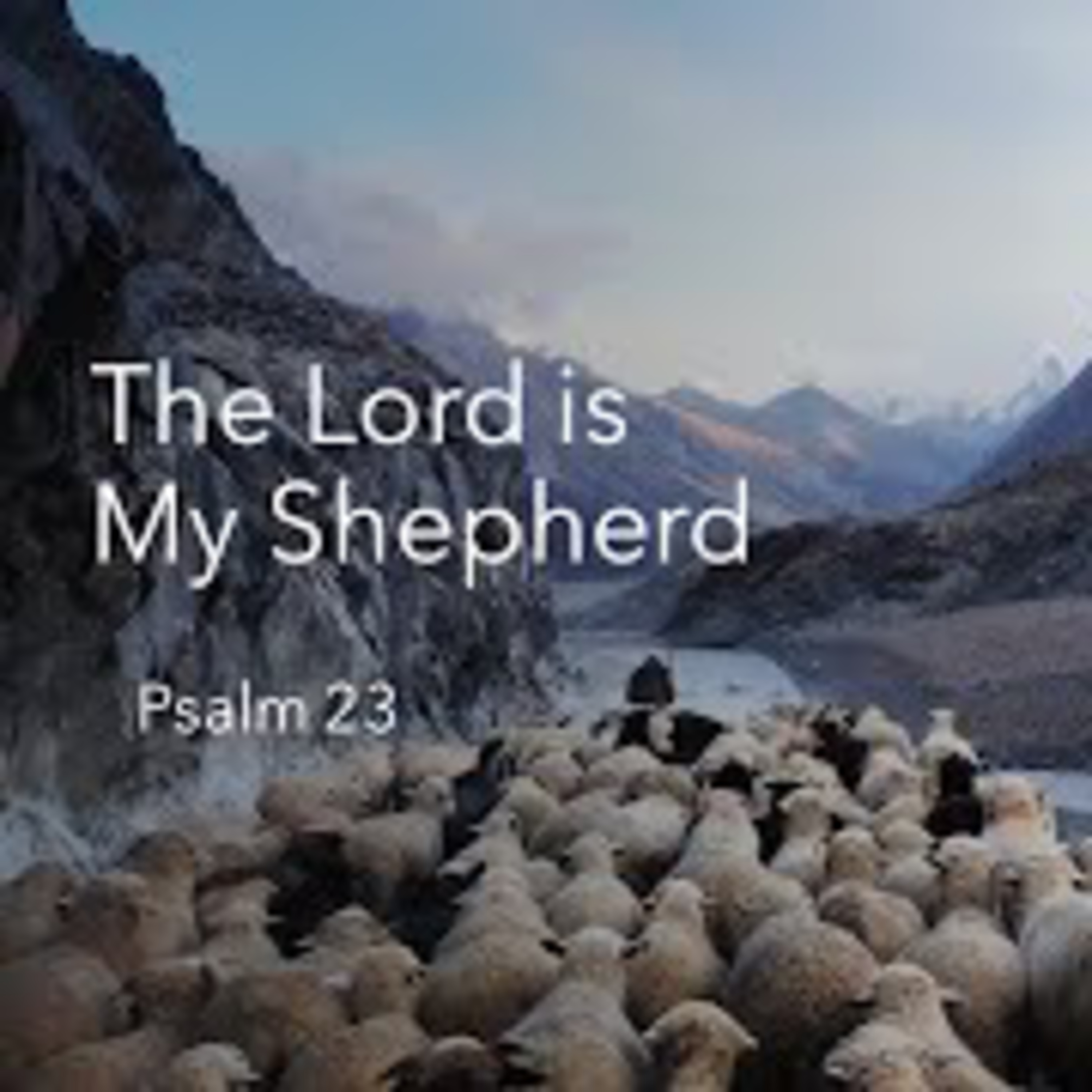 Te Awamutu Bible Chapel Messages