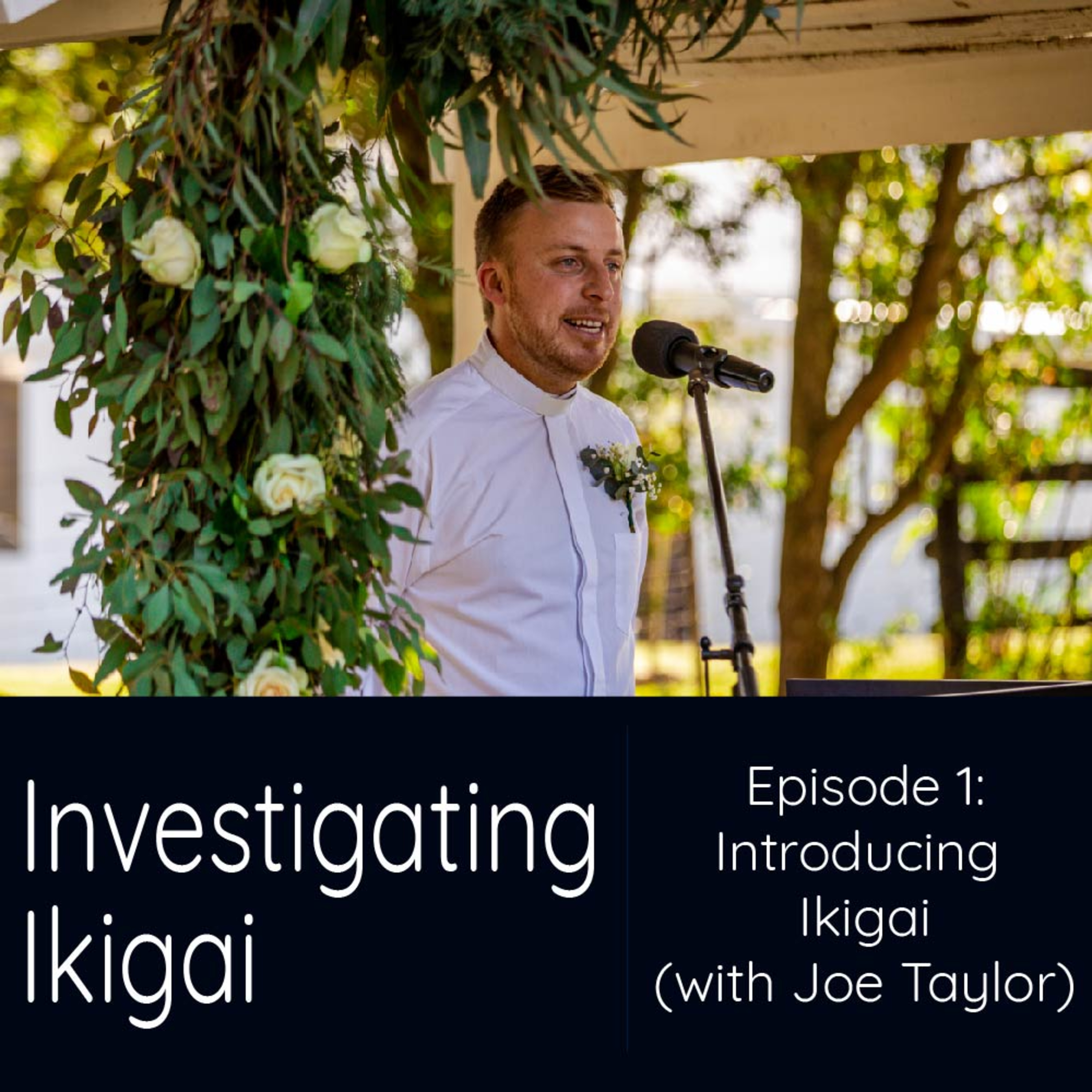 Introducing Investigating Ikigai