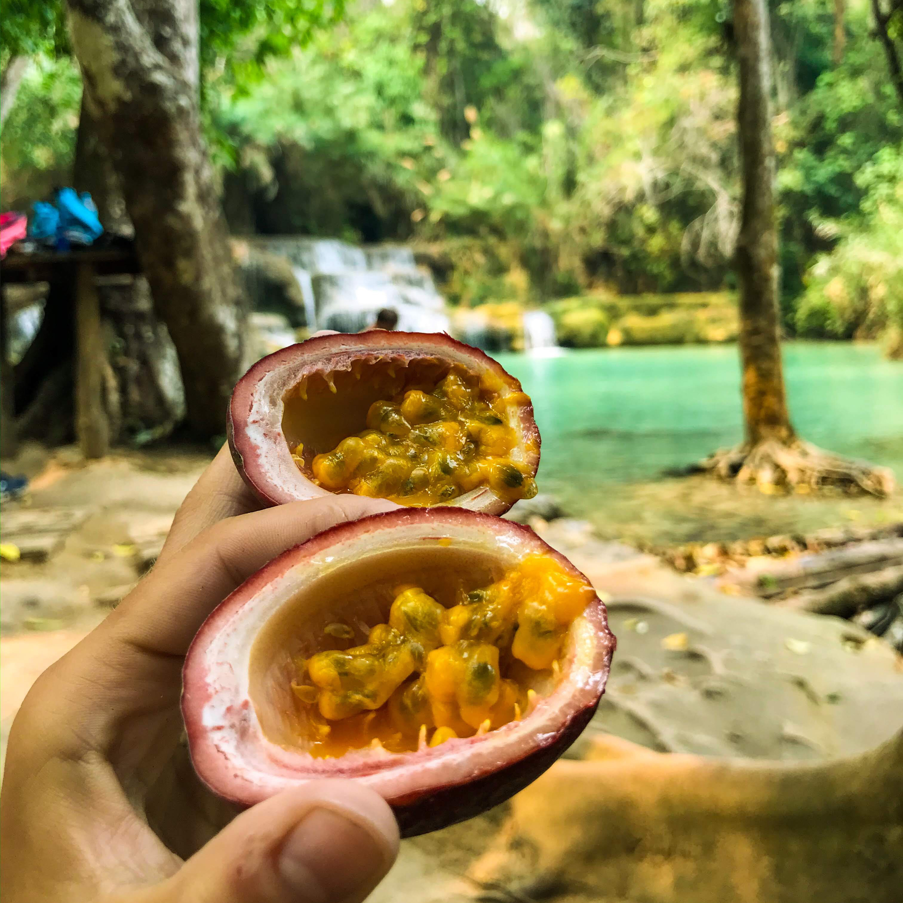#Laos: Sabaidee kraino czarów!  episode artwork