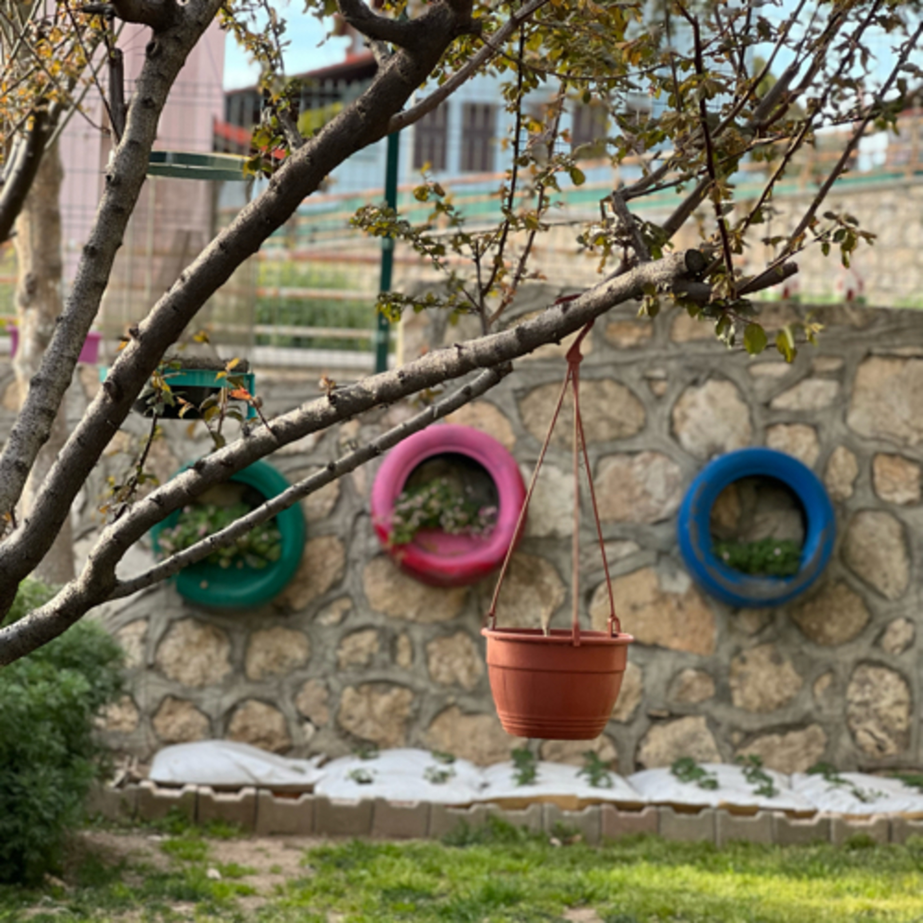 Anlık Sohbetler