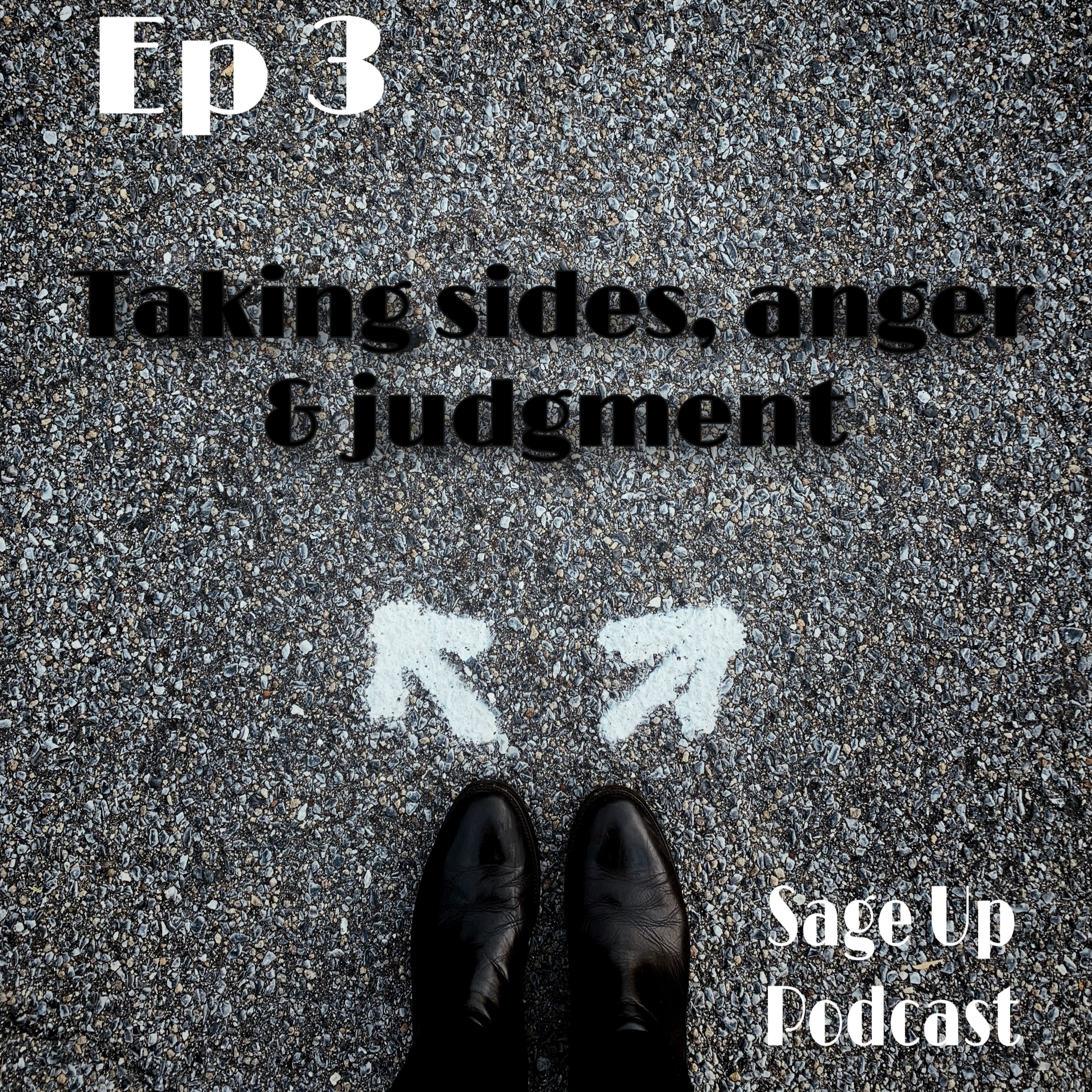 Taking Sides, Anger & Judgment  episode artwork