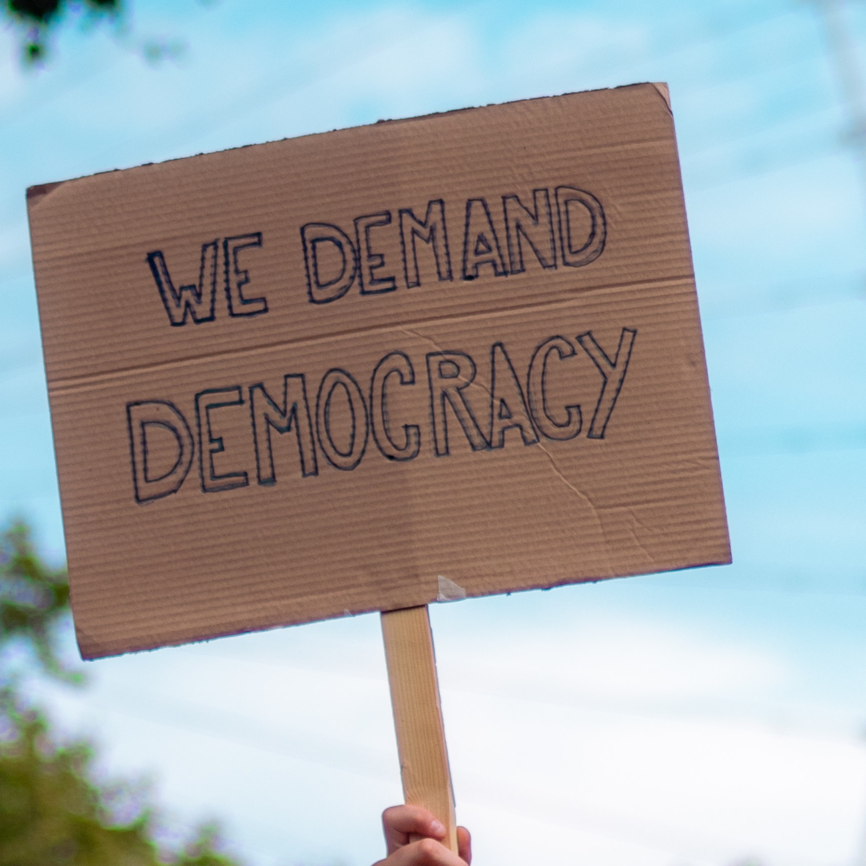 Bonus episode: Democracy episode artwork