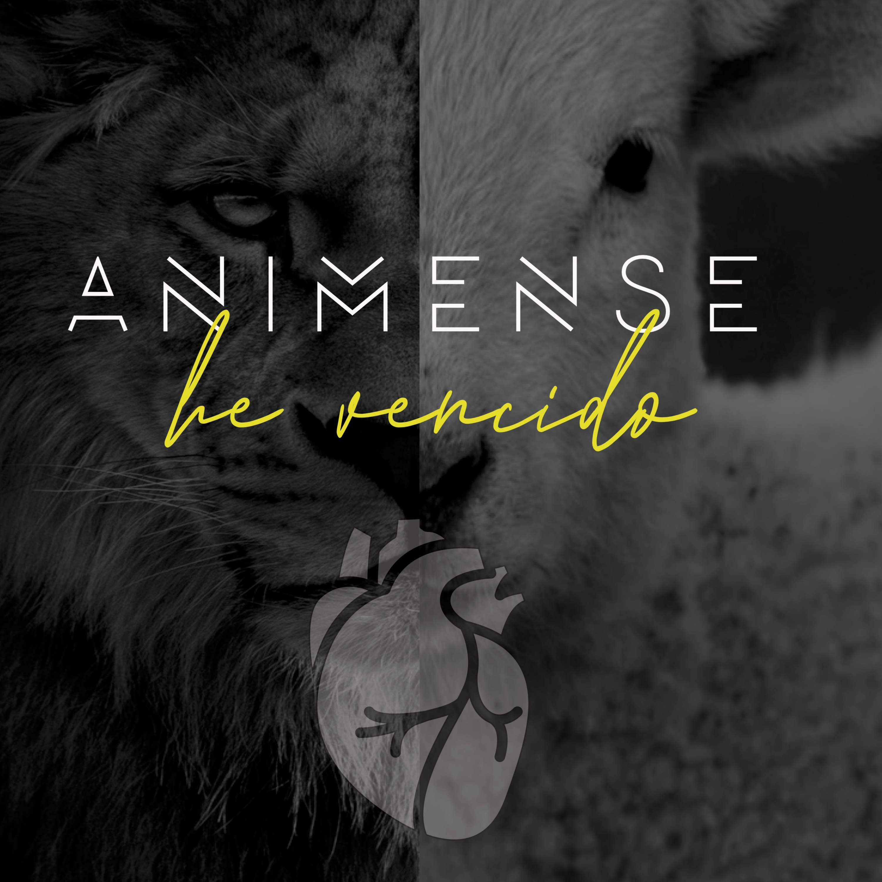 Anímense, Yo los defiendo 