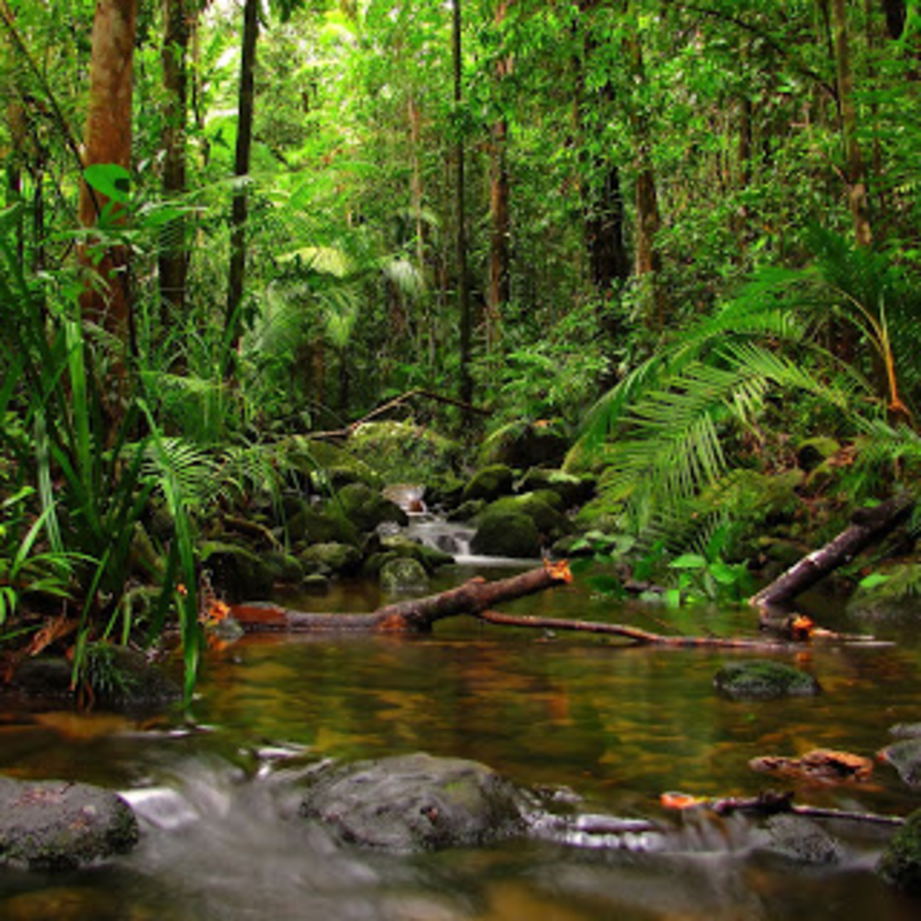 Kepodcast Ep 3 Profesi Surveyor