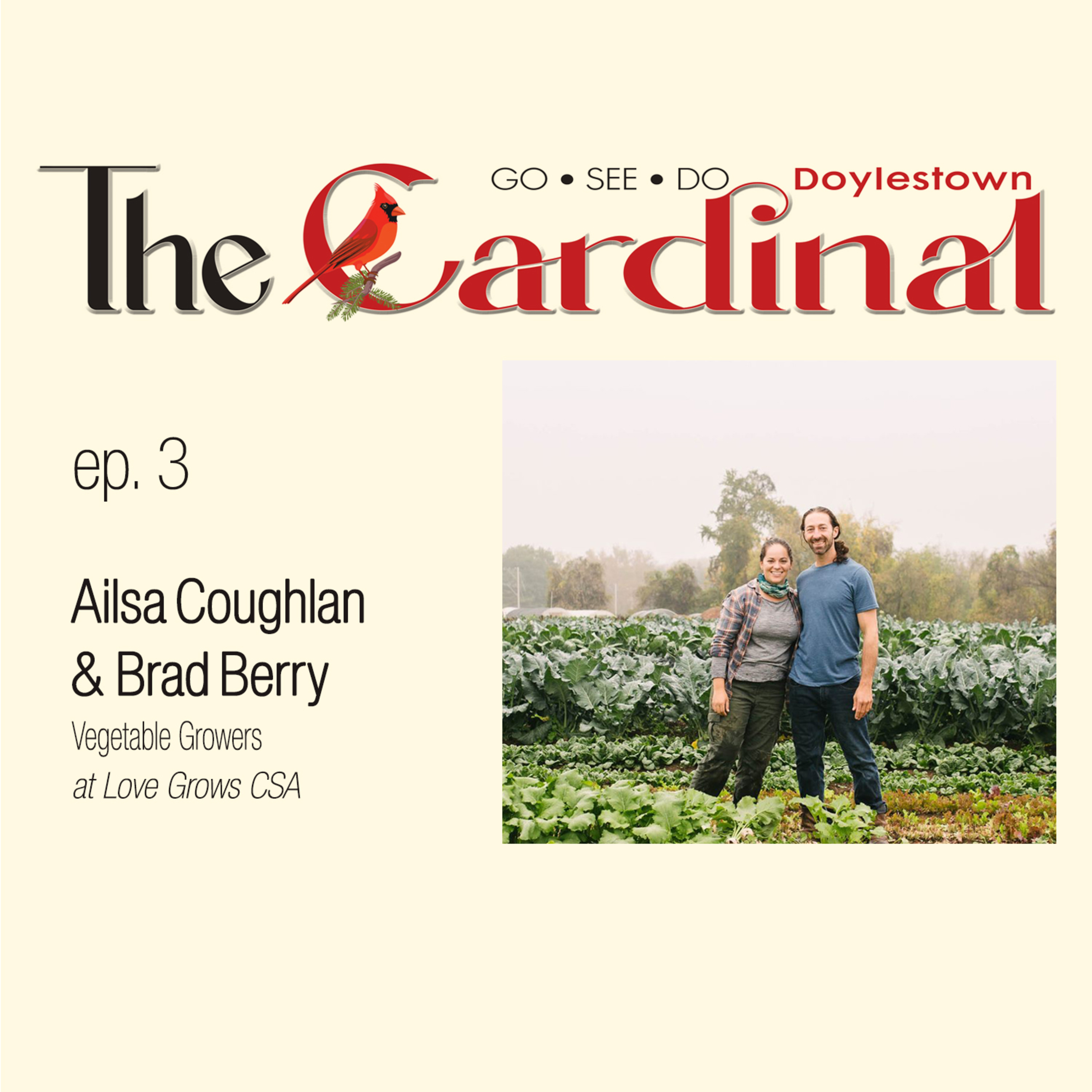 The Doylestown Cardinal Cast