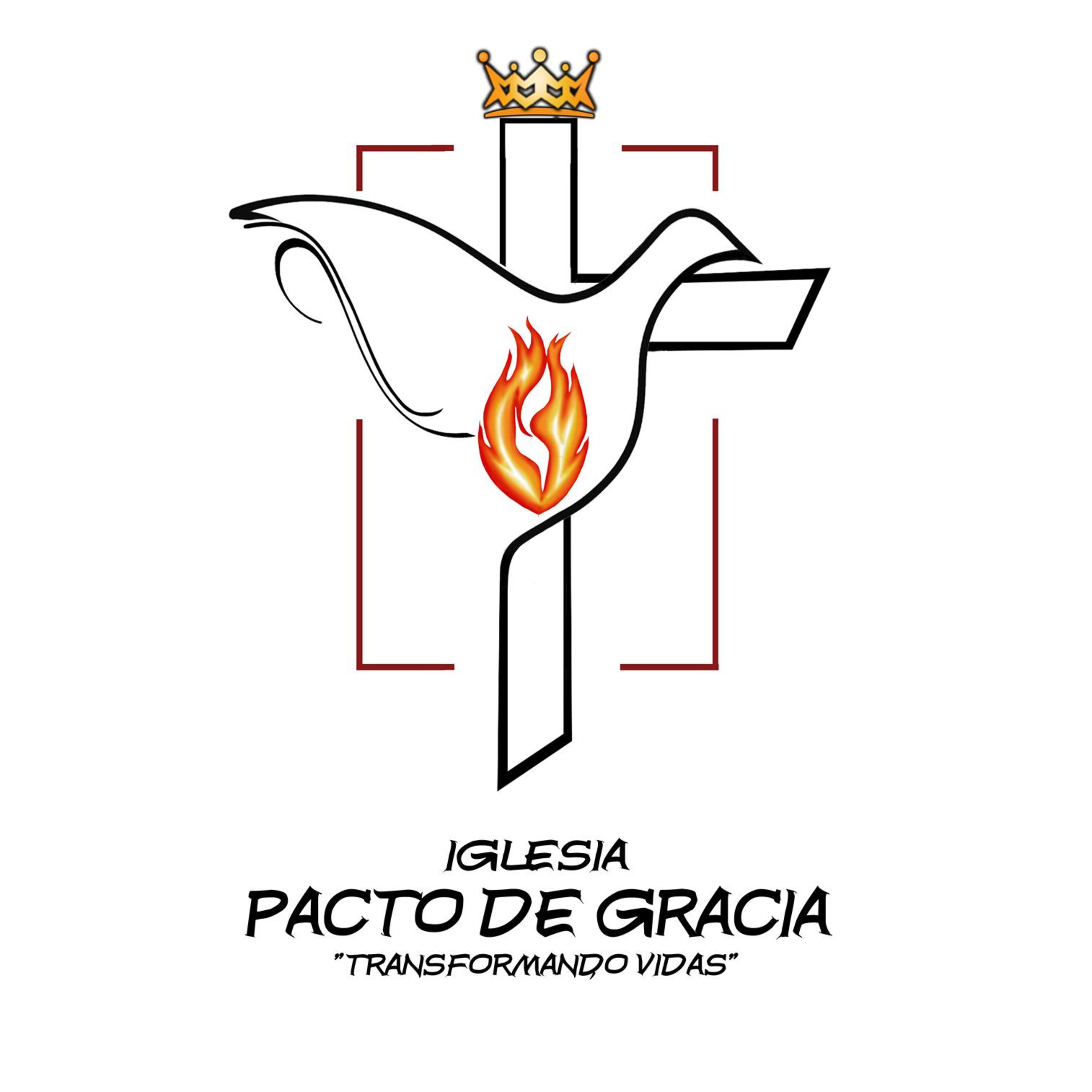 Portada de Transformando Vidas