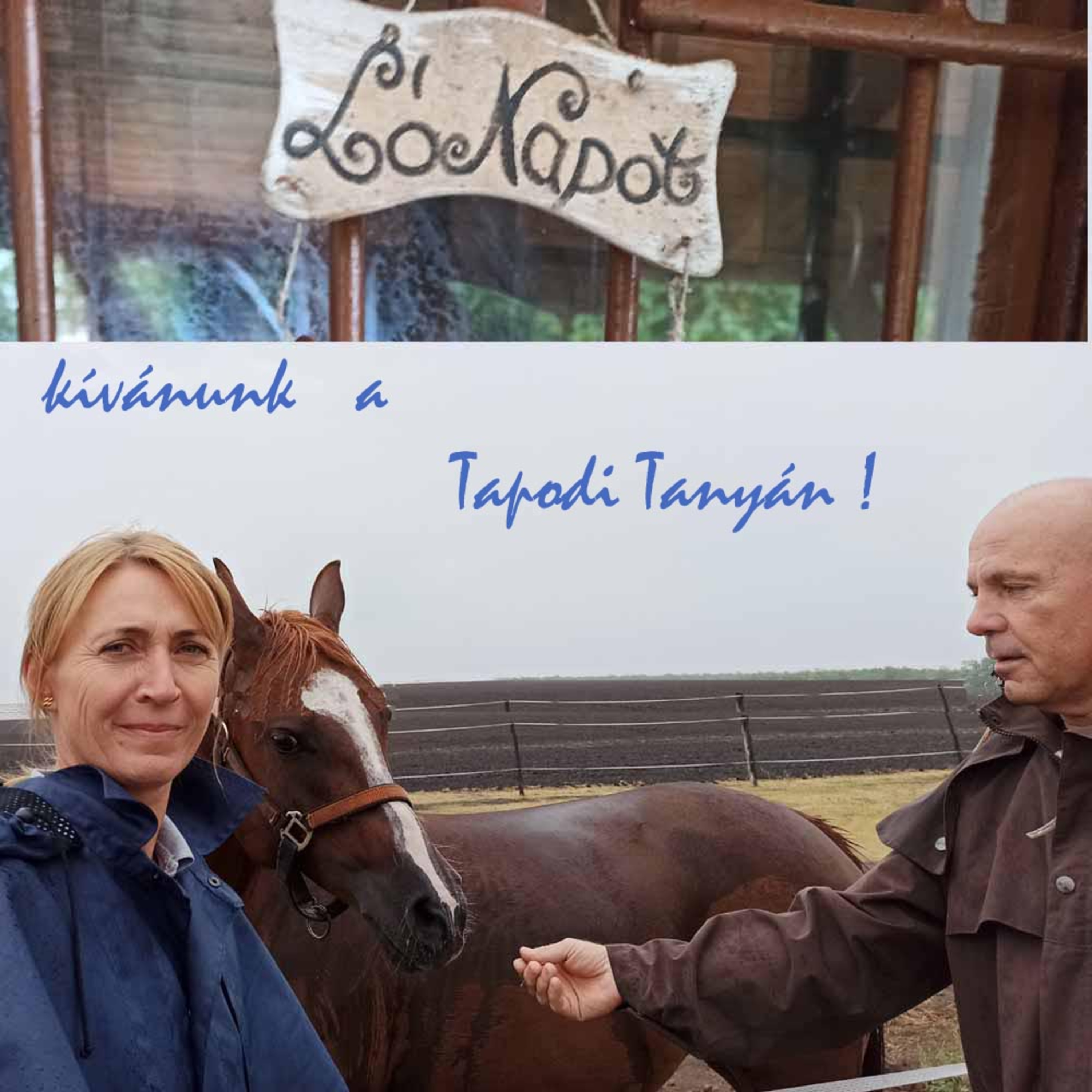 A Tapodi lovastanyán - Áment Zsóka - 2022-08 episode artwork
