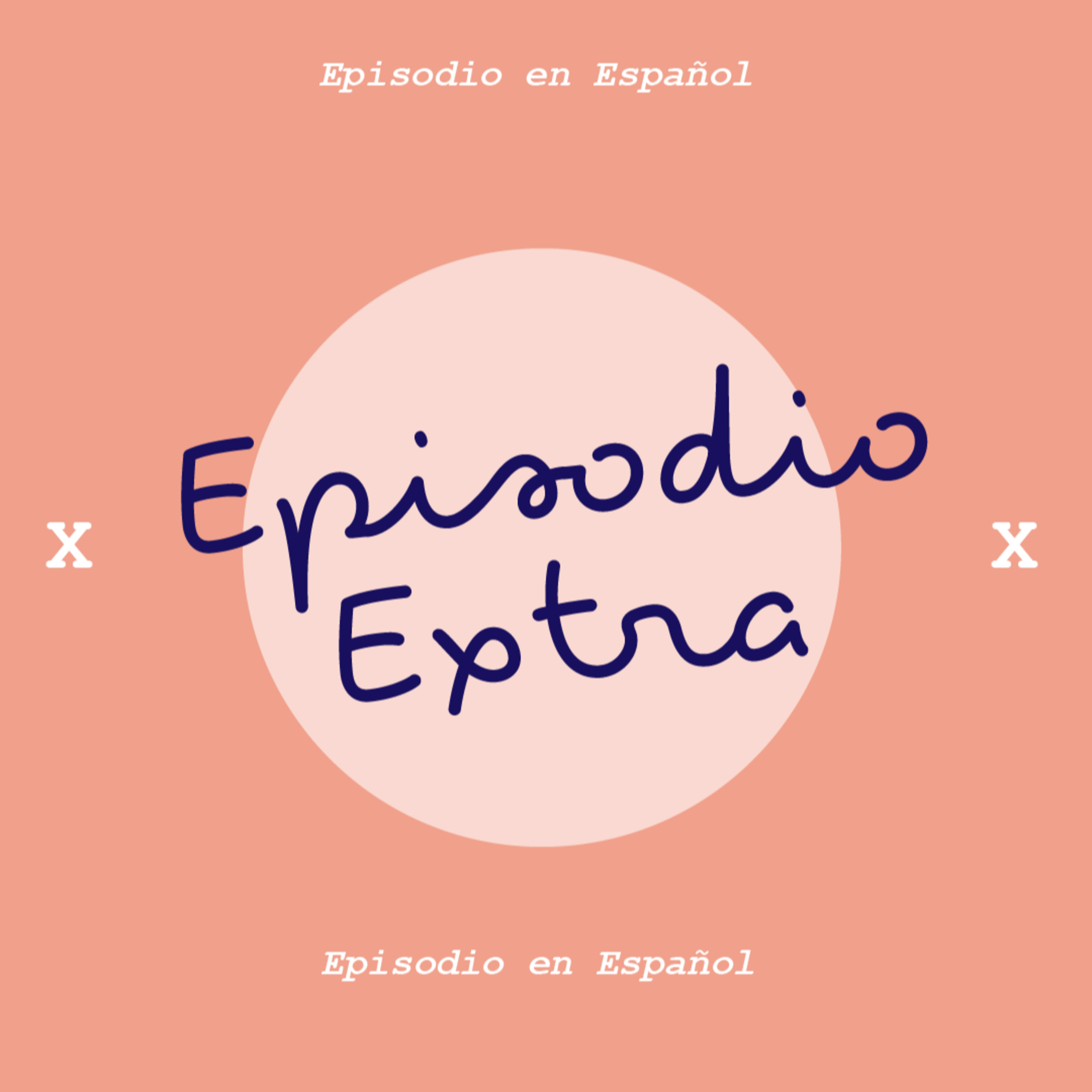 Design in Transition/Diseño en Transición