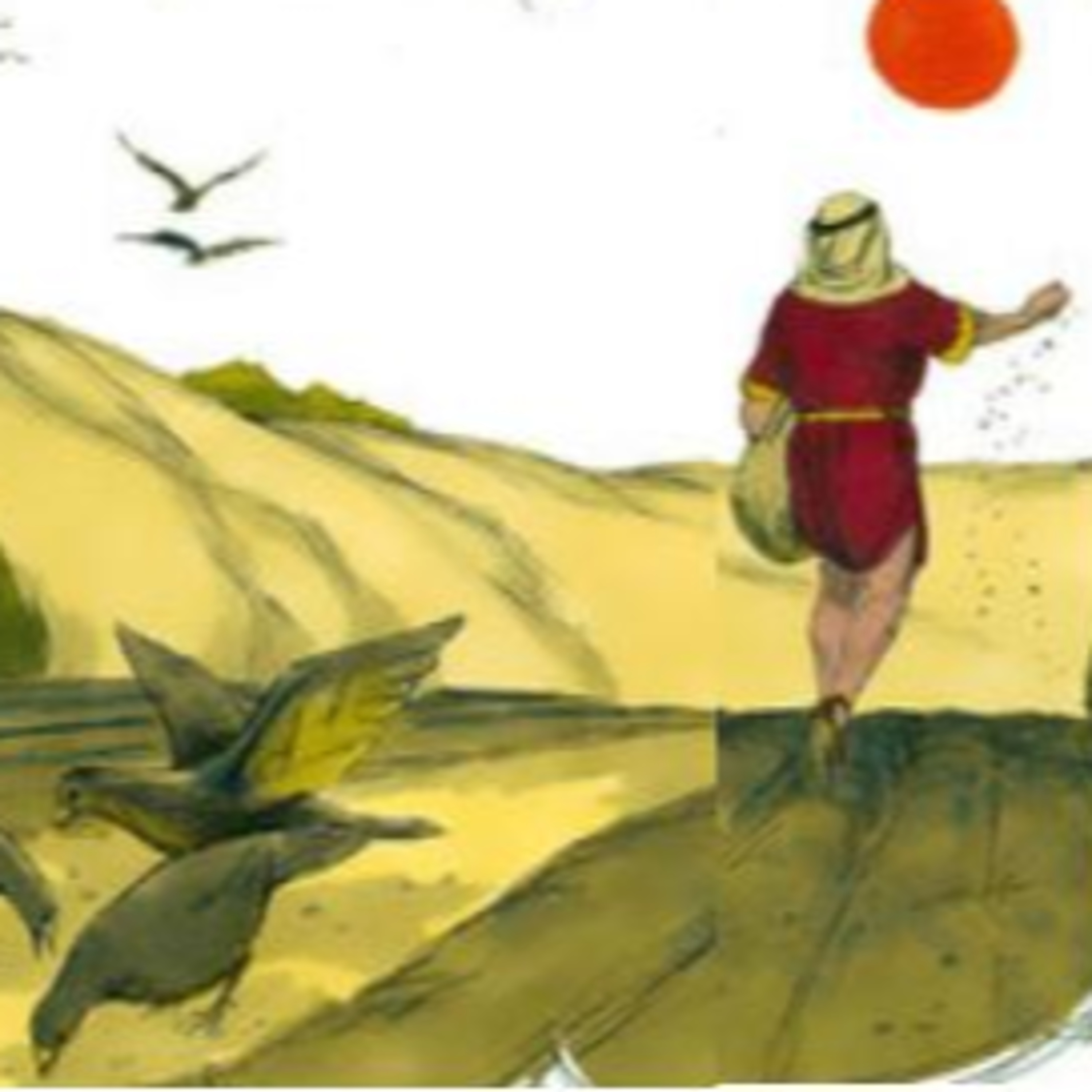 The Story of Jesus Life for Children