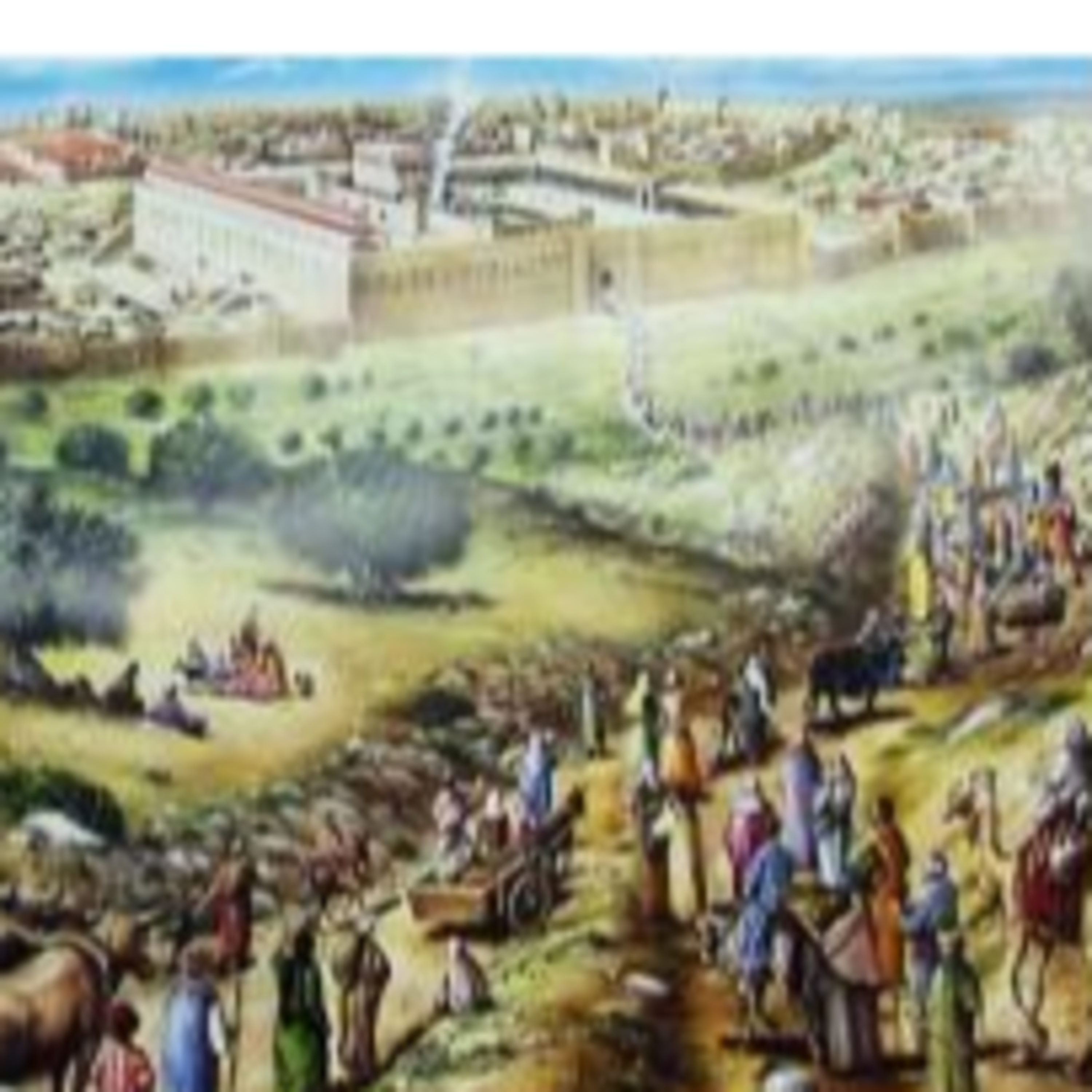 The Story of Jesus Life for Children